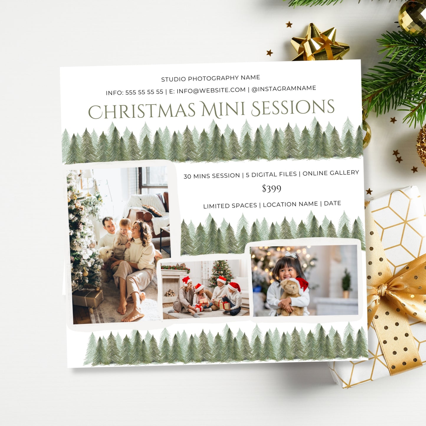 Christmas Mini Session Template