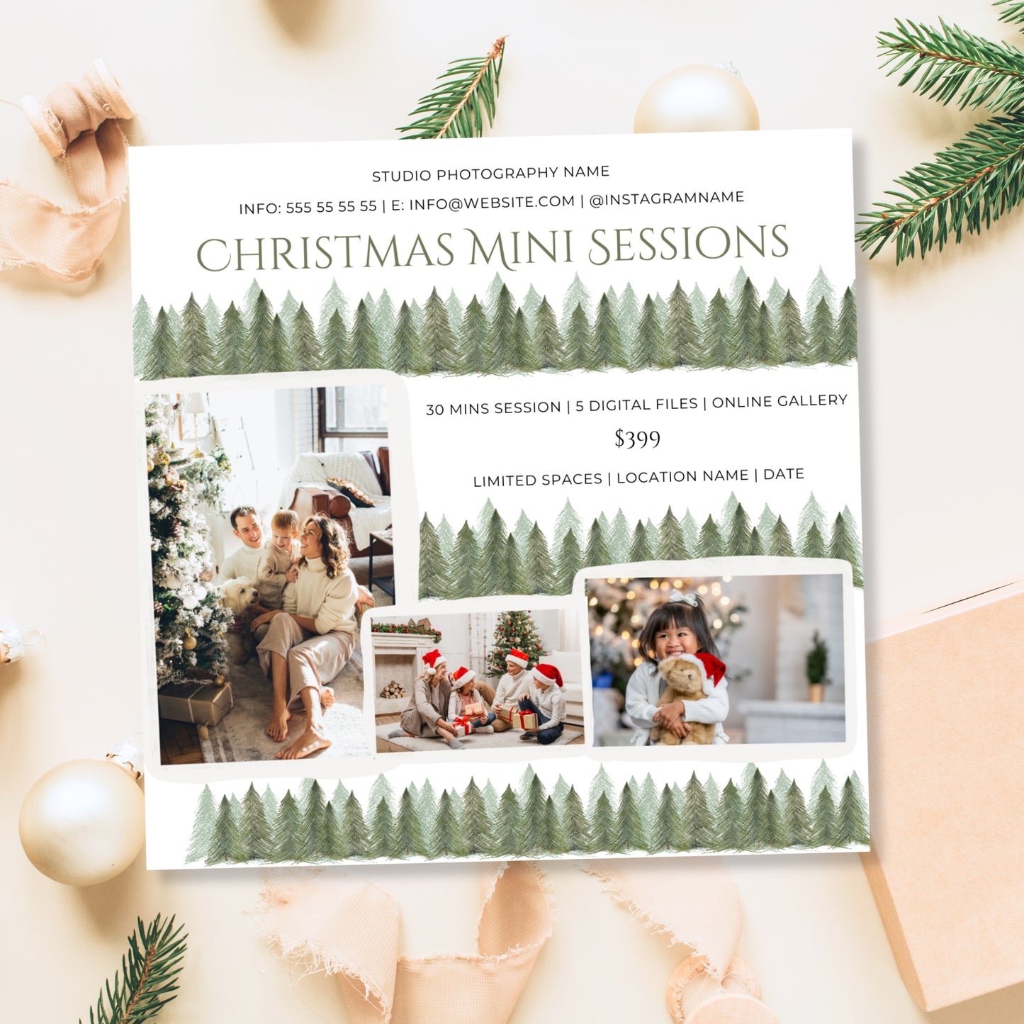 Christmas Mini Session Template