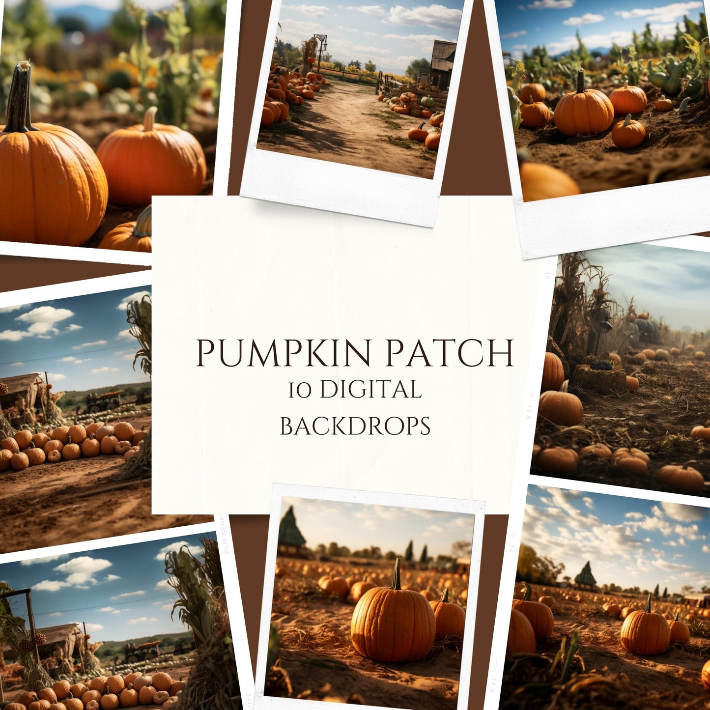 Pumpkin Patch Digital Backdrops