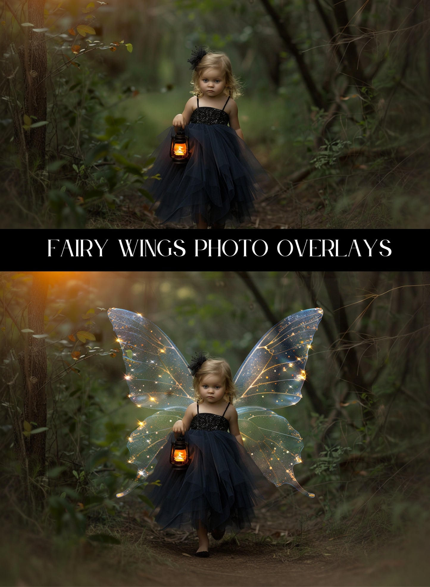 Fairy Wings Photo Overlays