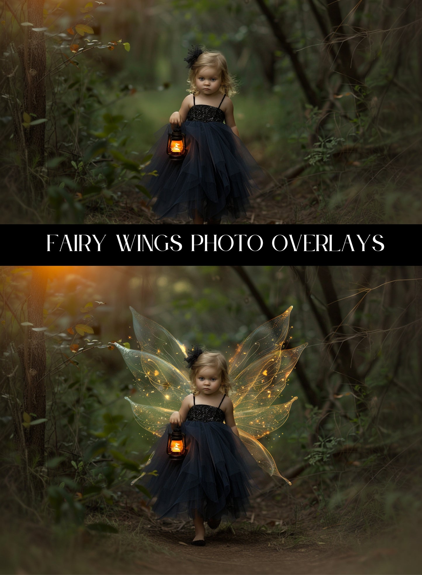 Fairy Wings Photo Overlays