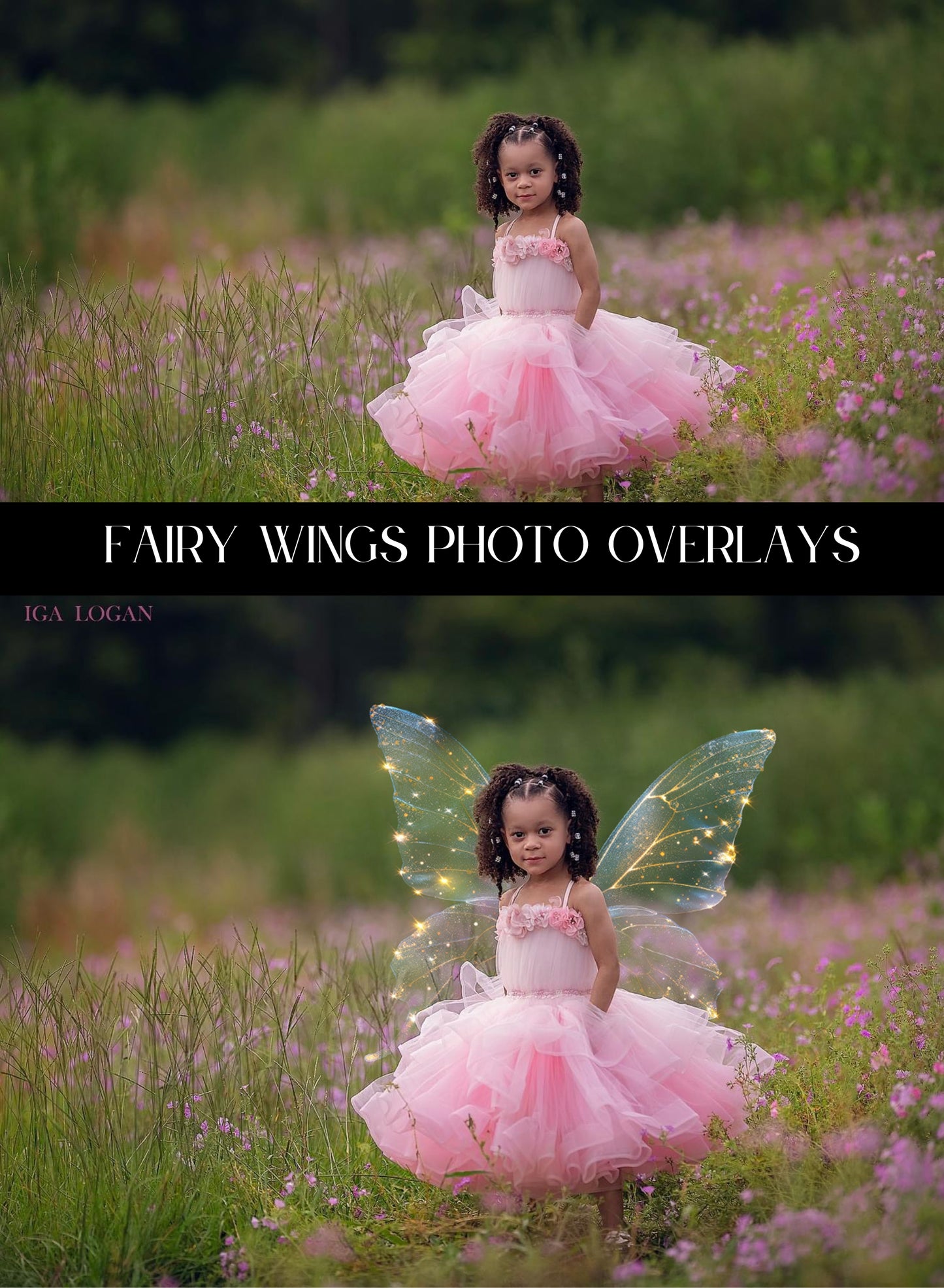 Fairy Wings Photo Overlays