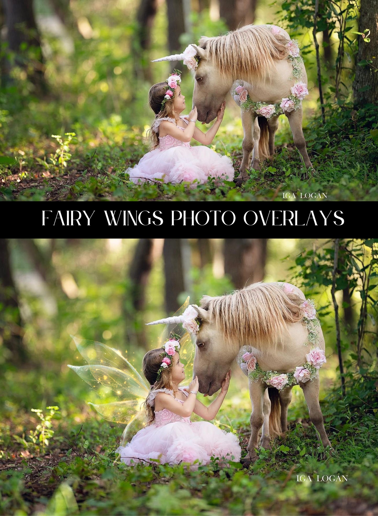 Fairy Wings Photo Overlays