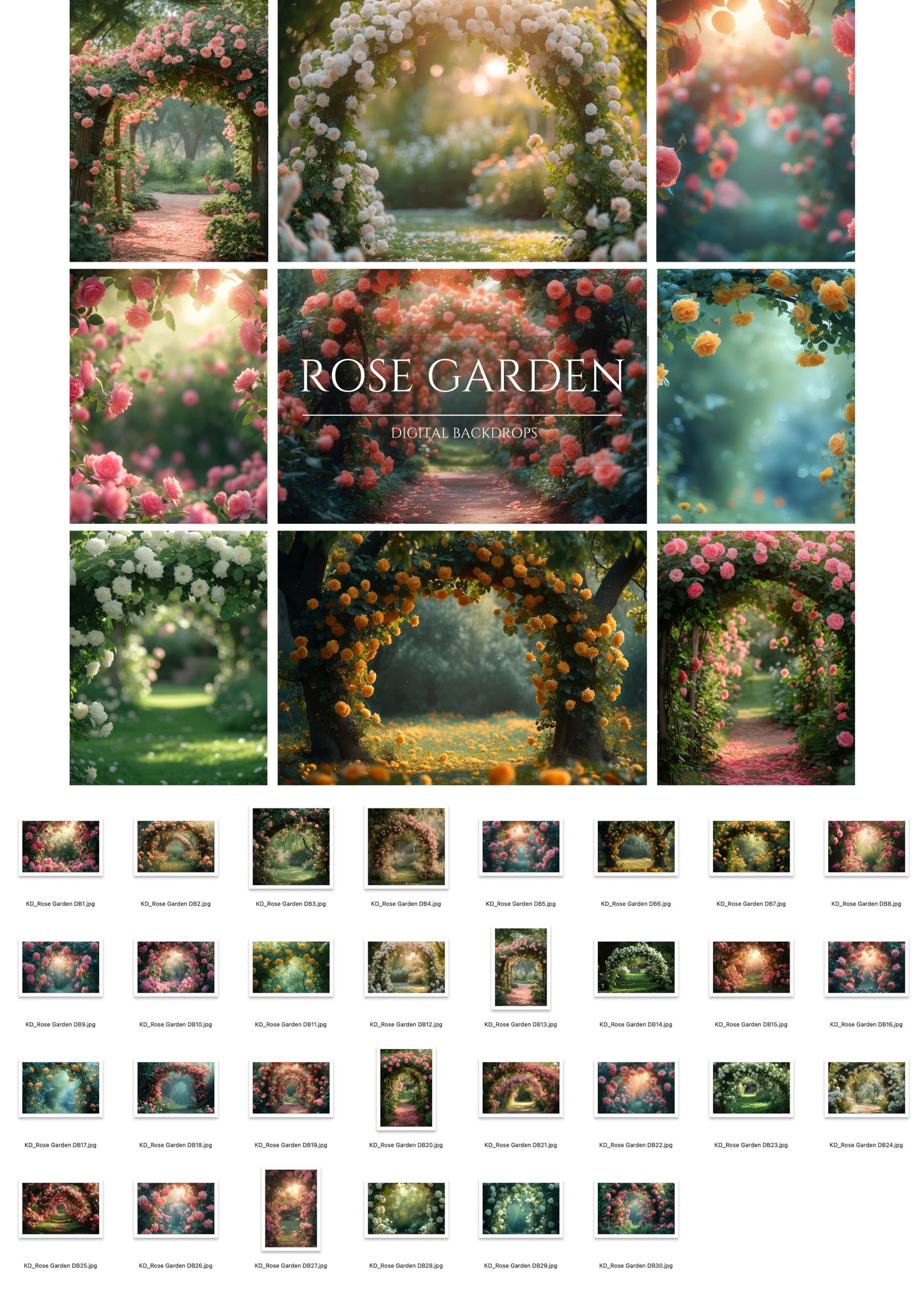 Rose Garden Digital Backdrops