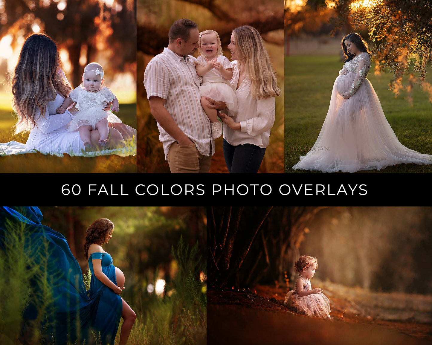 60 Fall Colors Photo Overlays