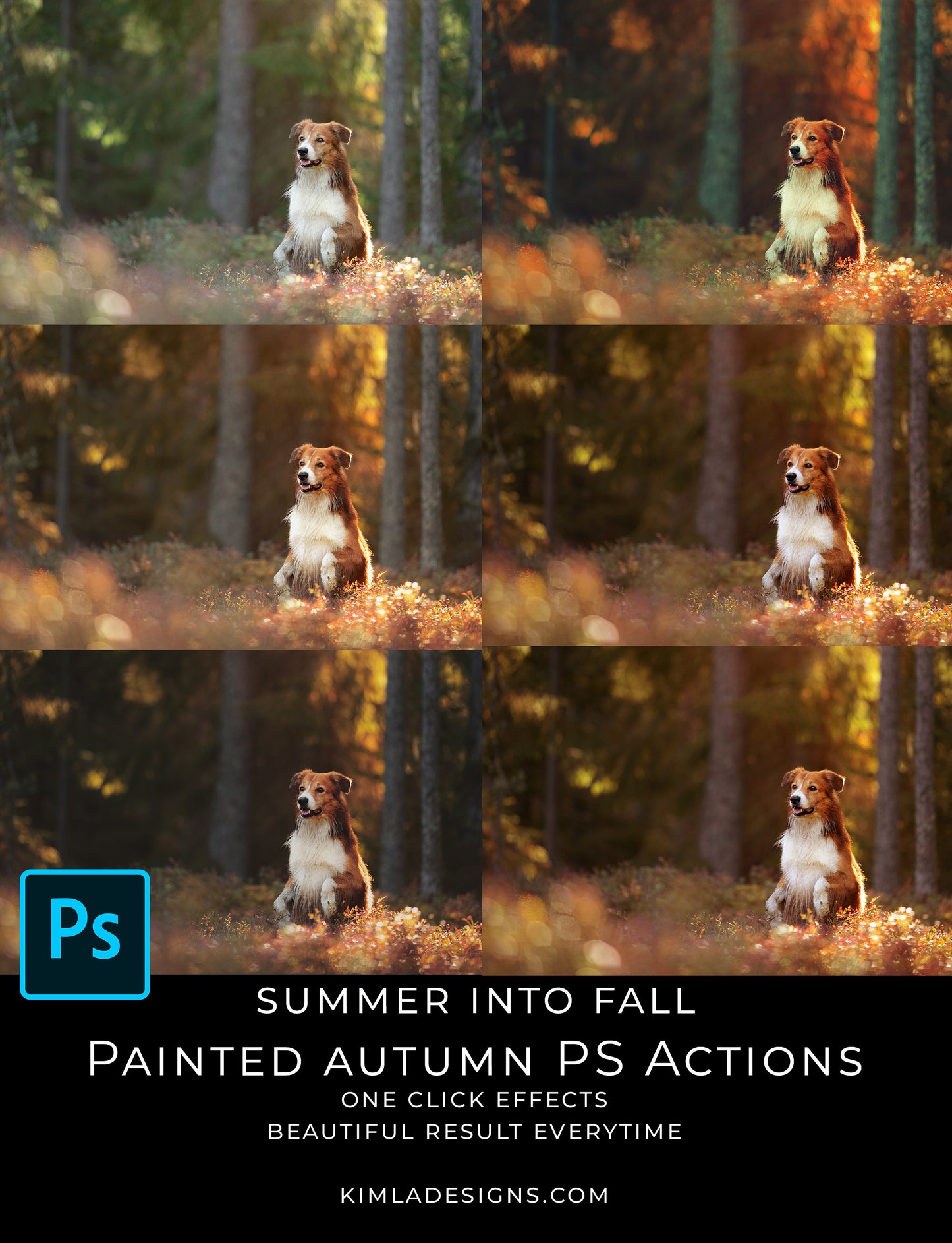 Painted Autumn PS Actions