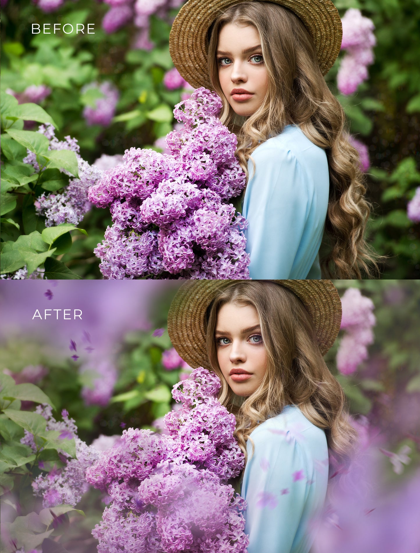 Painted Lilacs Photo Overlays