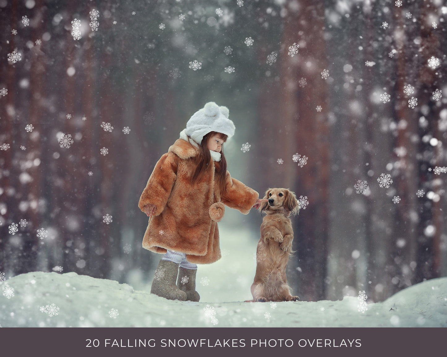 Falling Snowflakes Overlays