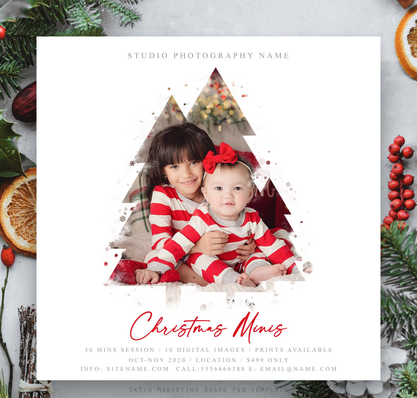 Christmas Mini Session, Photoshop Template