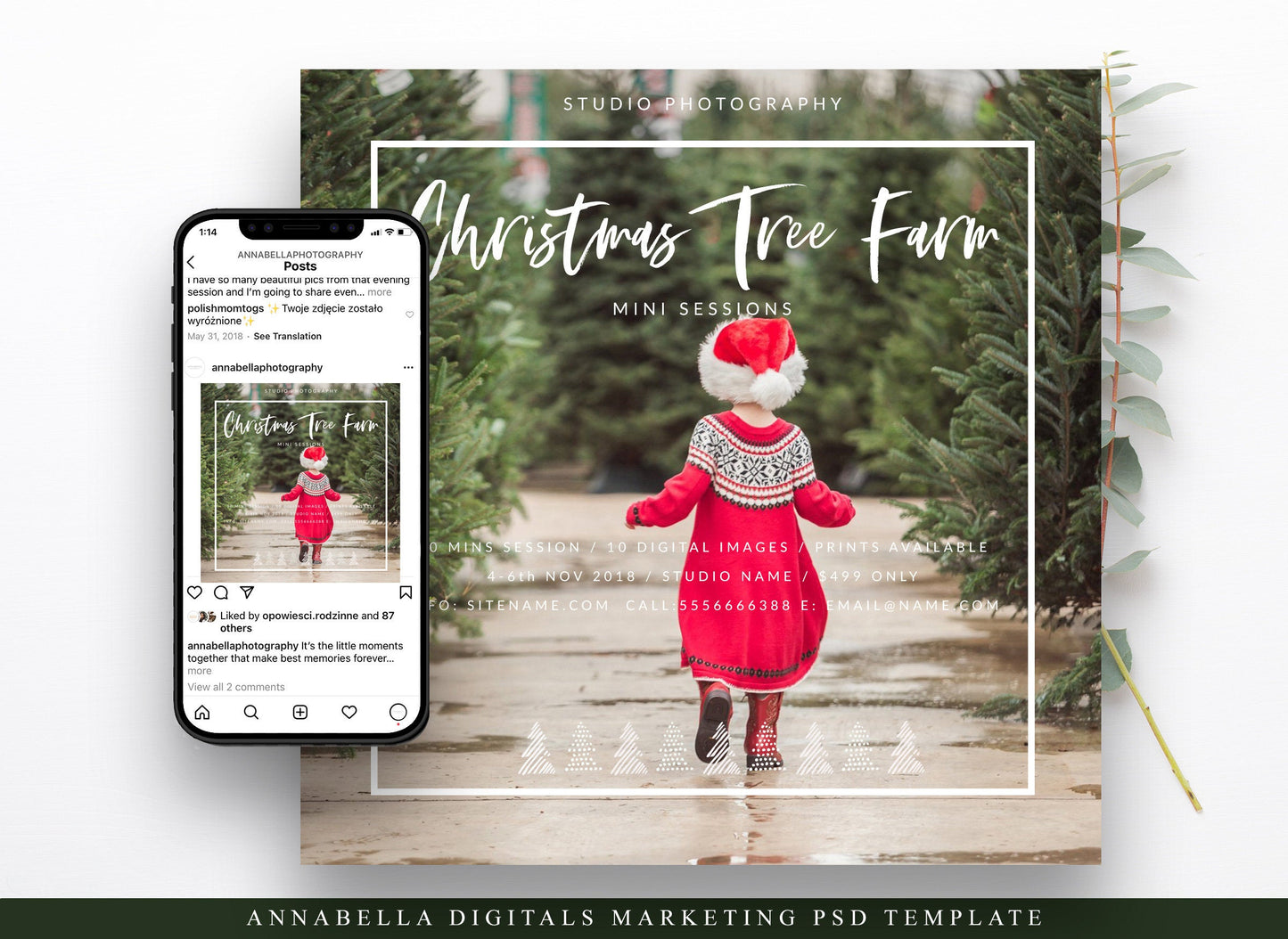 Christmas Mini Session Photoshop Template