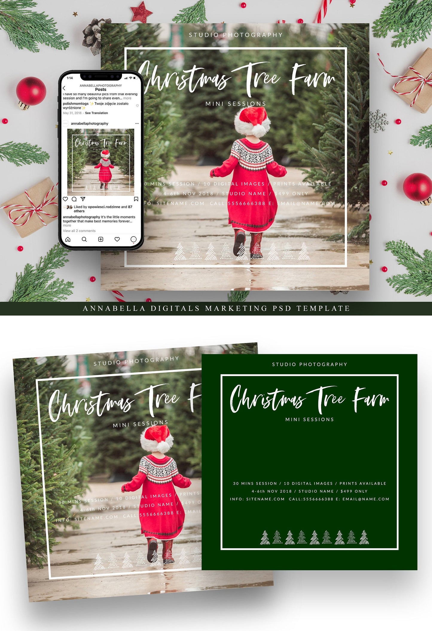 Christmas Mini Session Photoshop Template