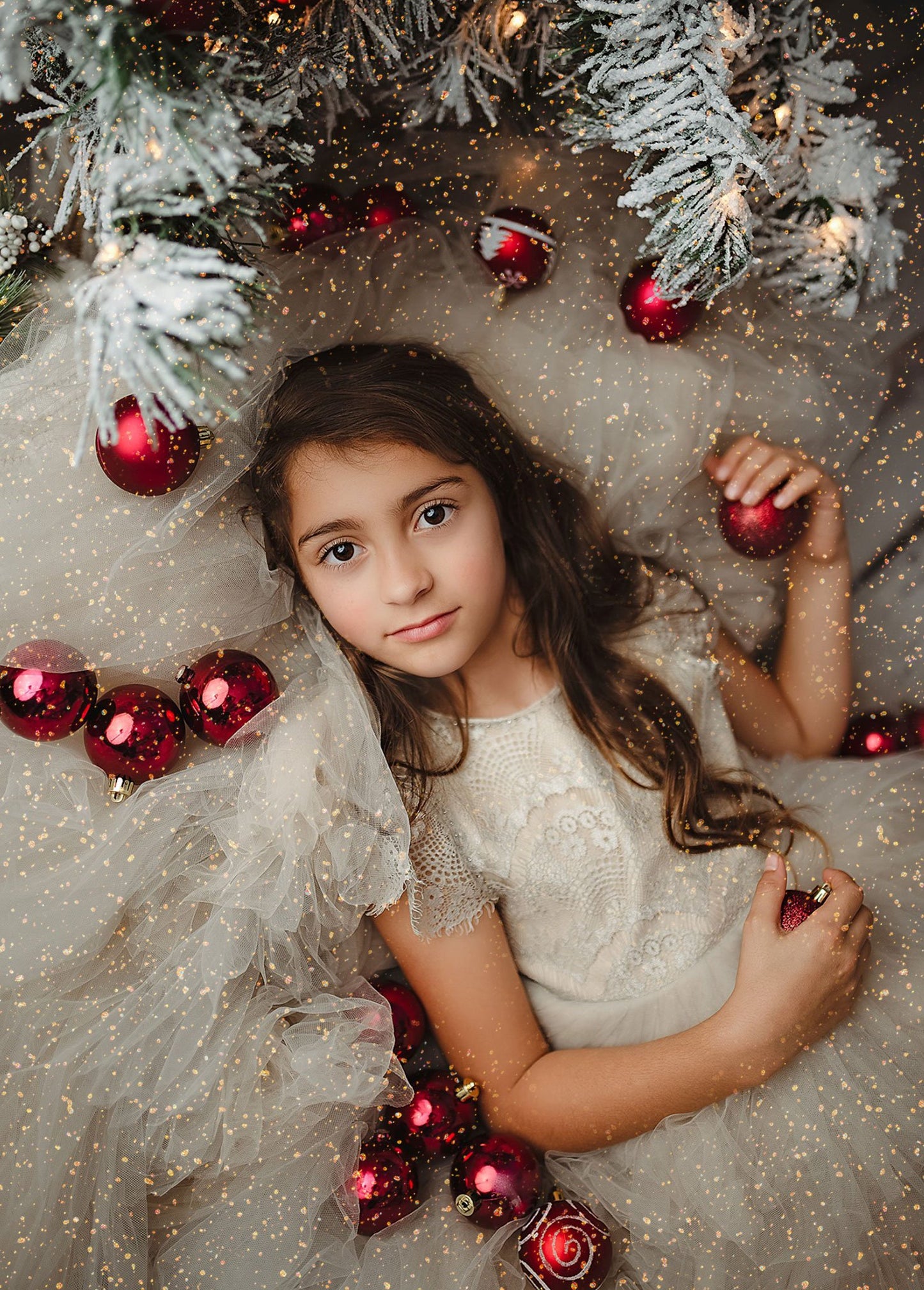 Christmas Glitter Photo Overlays