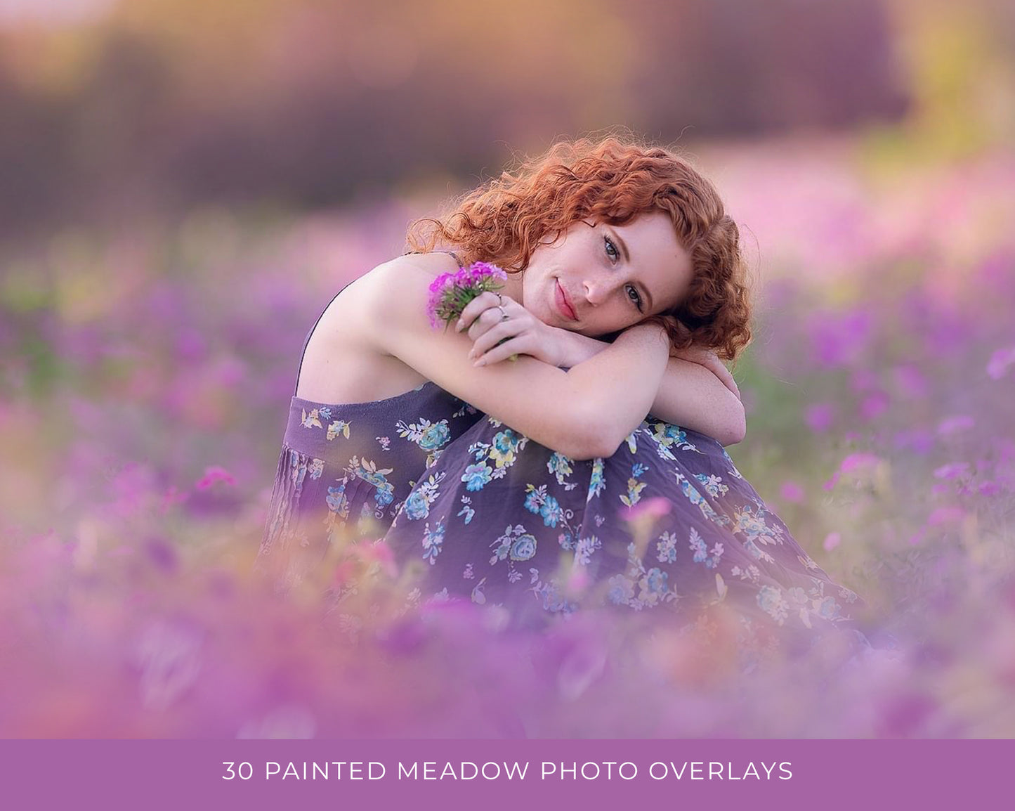 Painted Meadow Photo Overlays