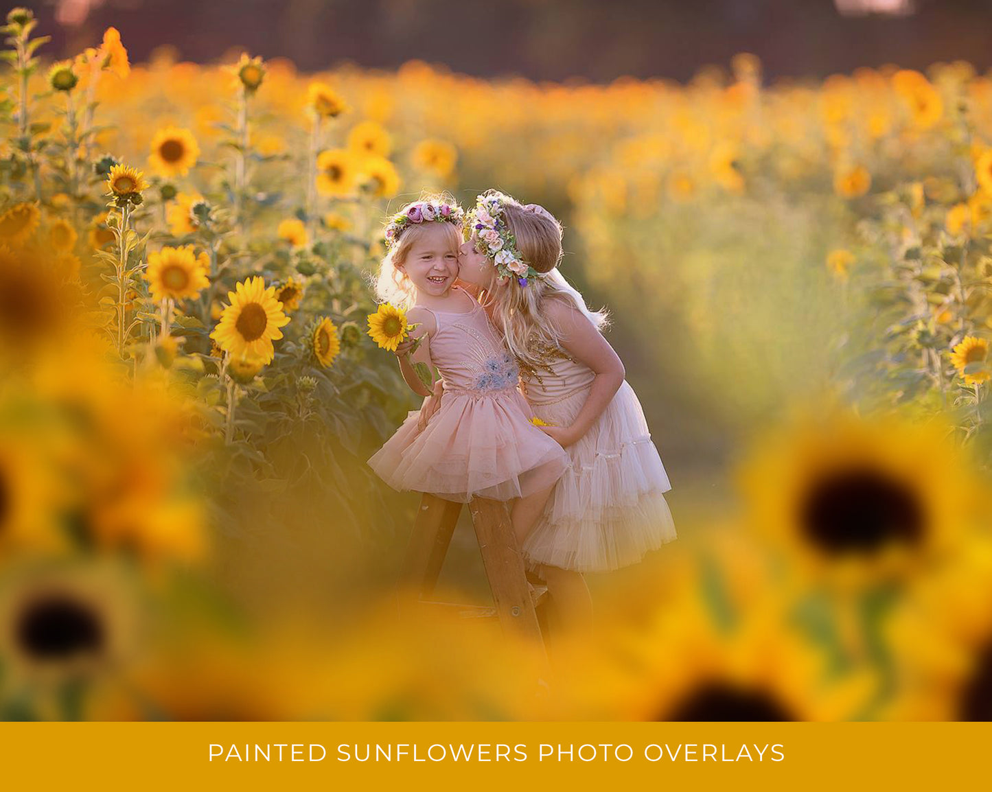 Painted Sunflowers Photo Overlays