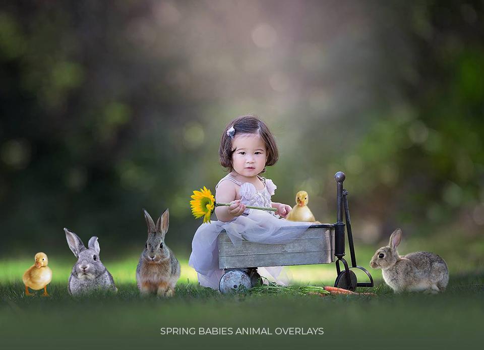 Spring Babies Animal Overlays - Photoshop Overlays, Digital Backgrounds and Lightroom Presets