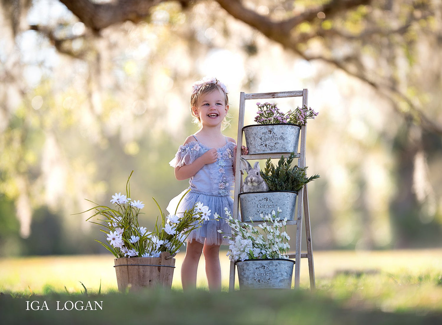 Spring Babies Animal Overlays - Photoshop Overlays, Digital Backgrounds and Lightroom Presets