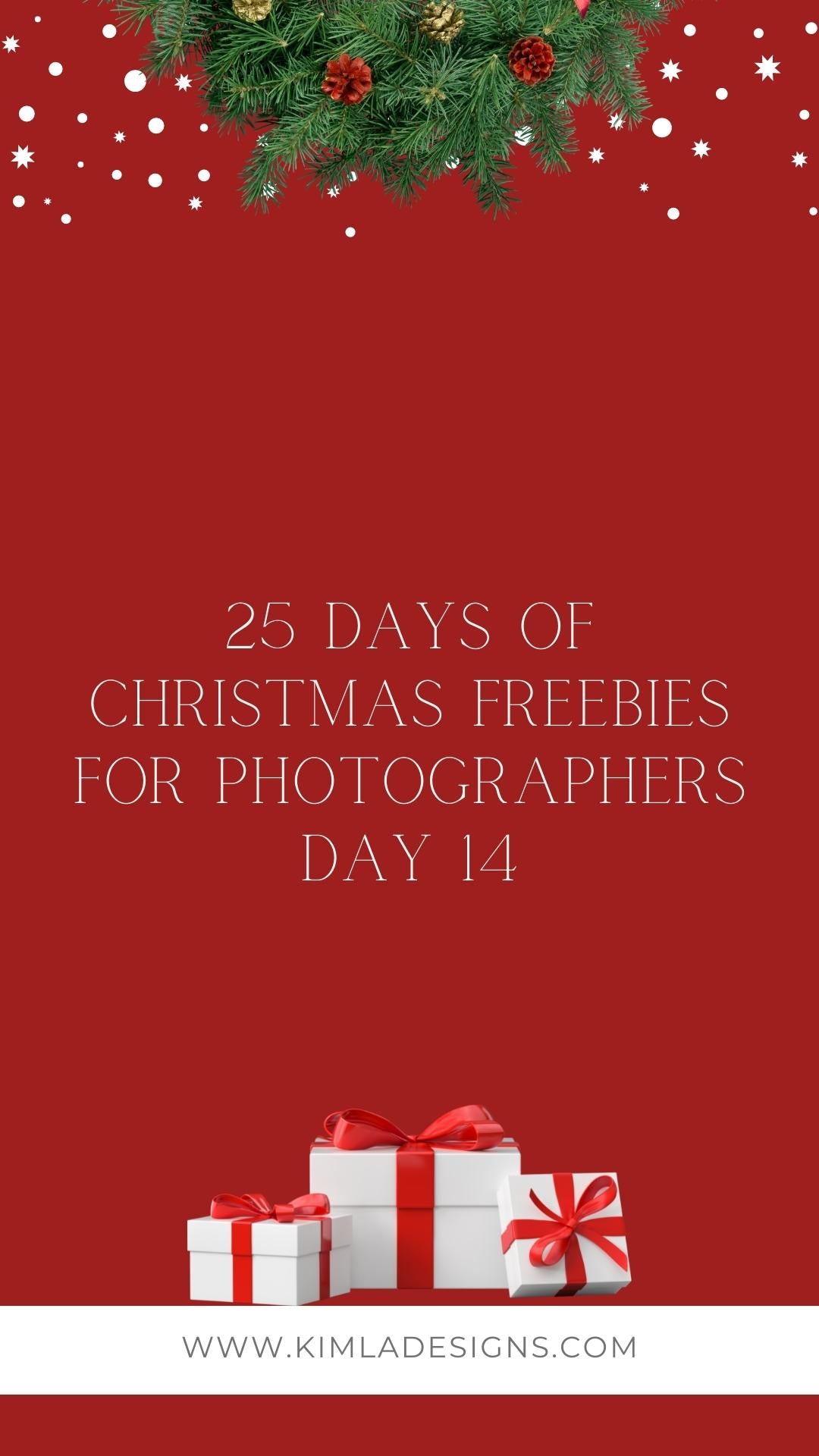 25 Days of Christmas Freebies day 14th