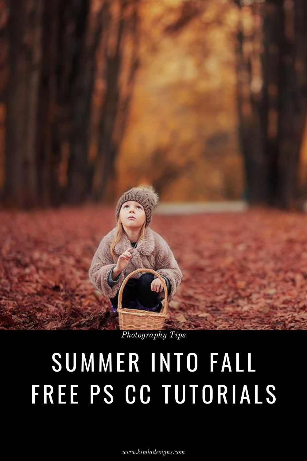 How to turn your Summer pictures into beautiful, painted Autumn scene in seconds.