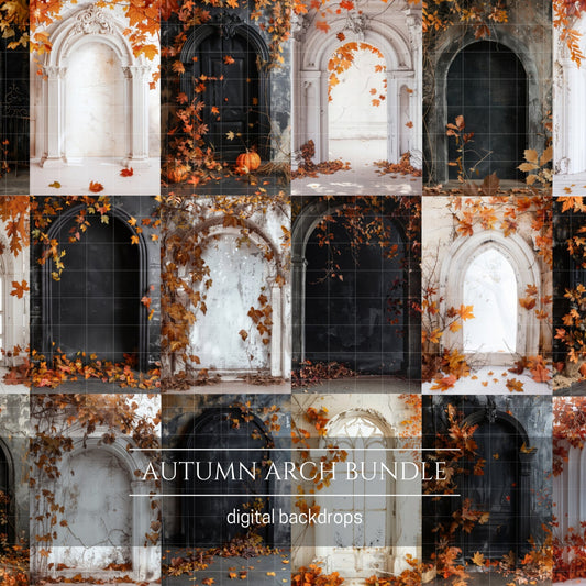 Autumn Arch Maternity Backdrop Overlay Bundle
