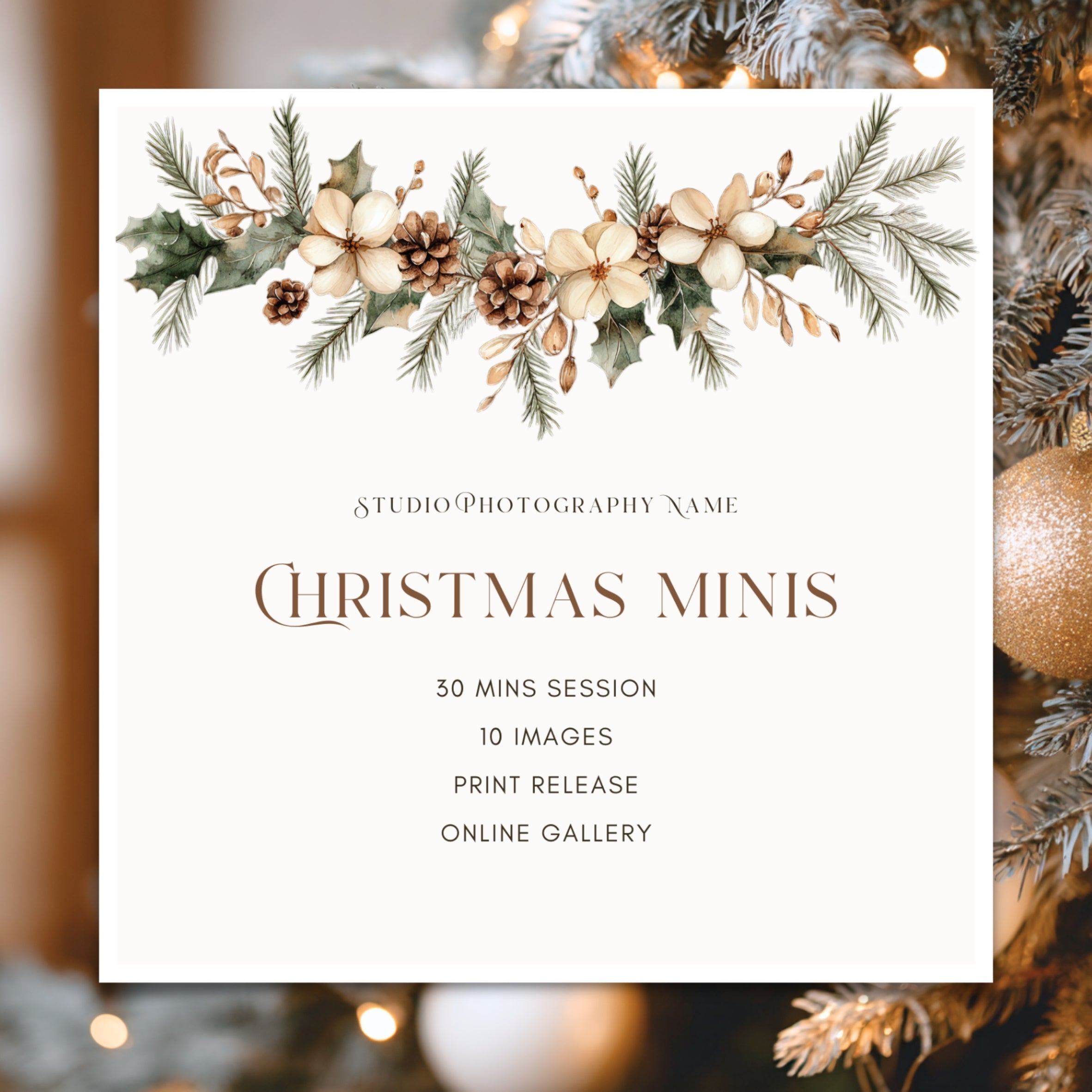 Christmas Mini Session Canva Template