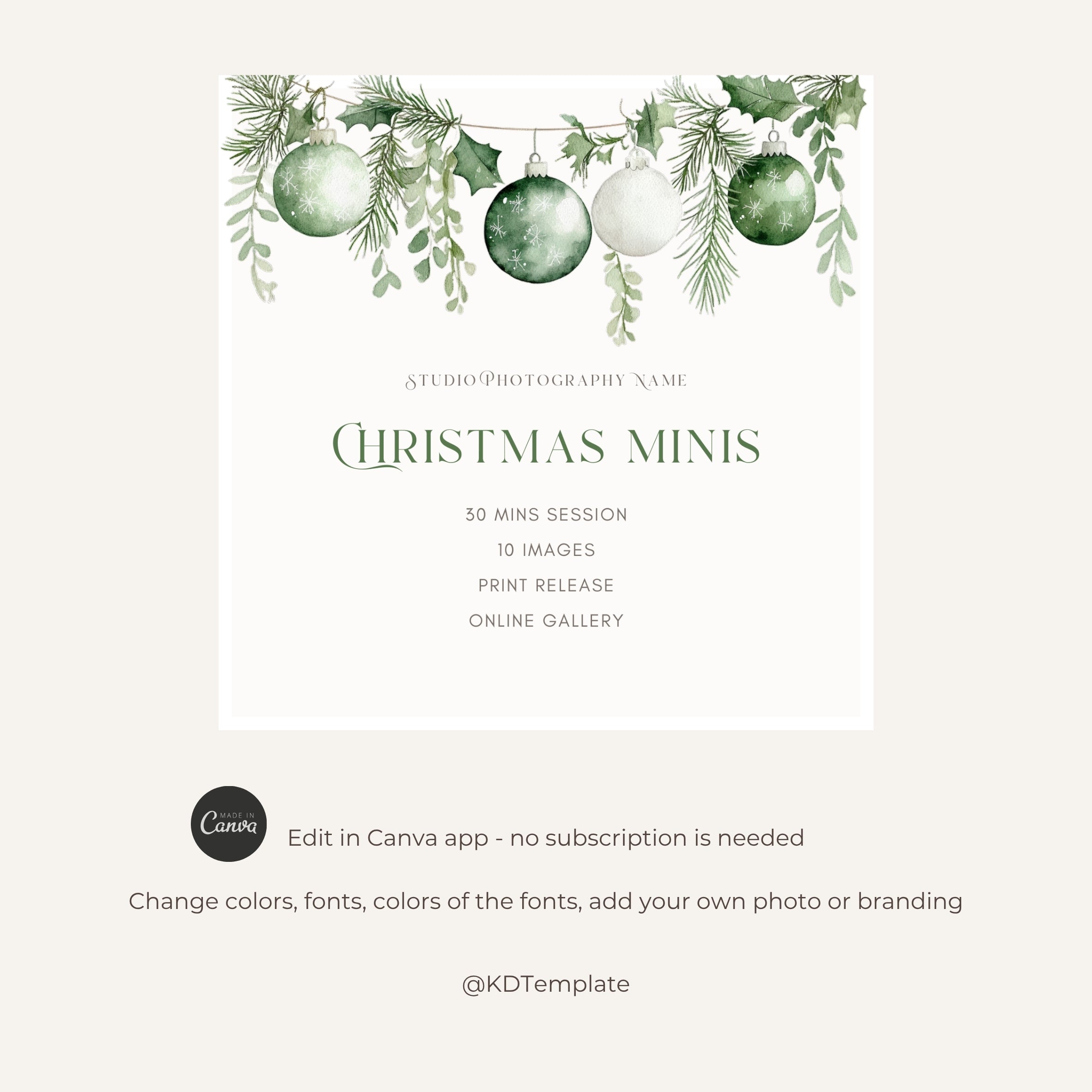 Christmas Mini Session Canva Template