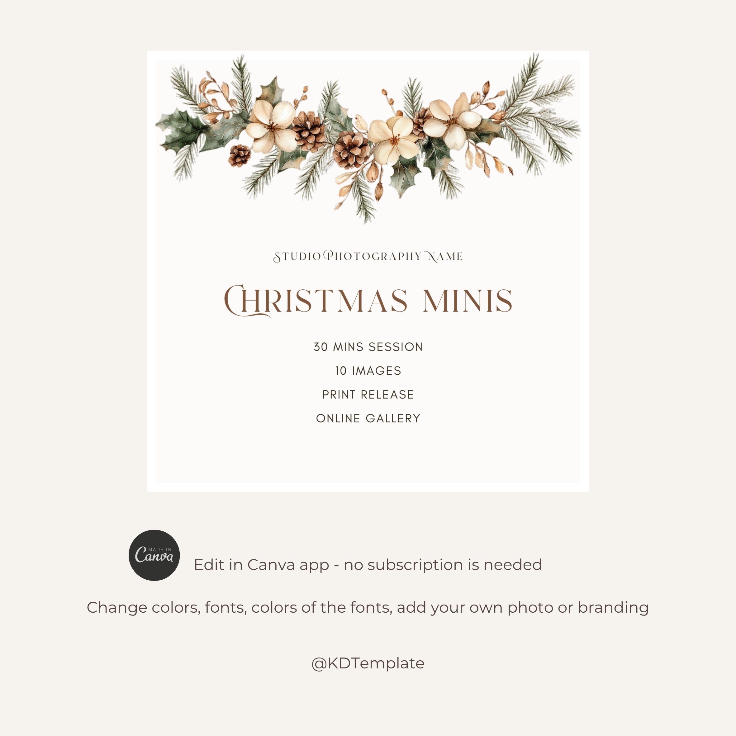 Christmas Mini Session Canva Template