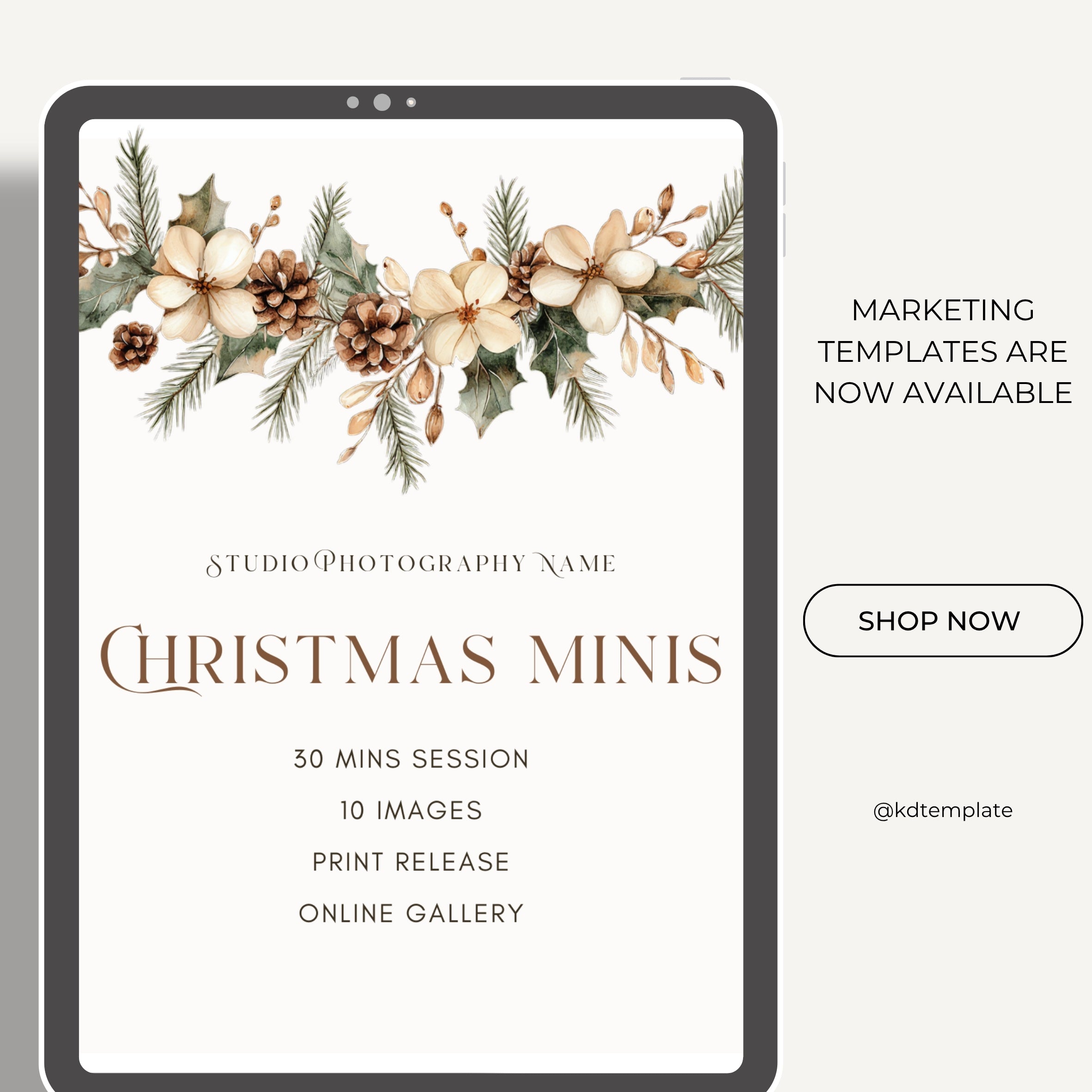 Christmas Mini Session Canva Template