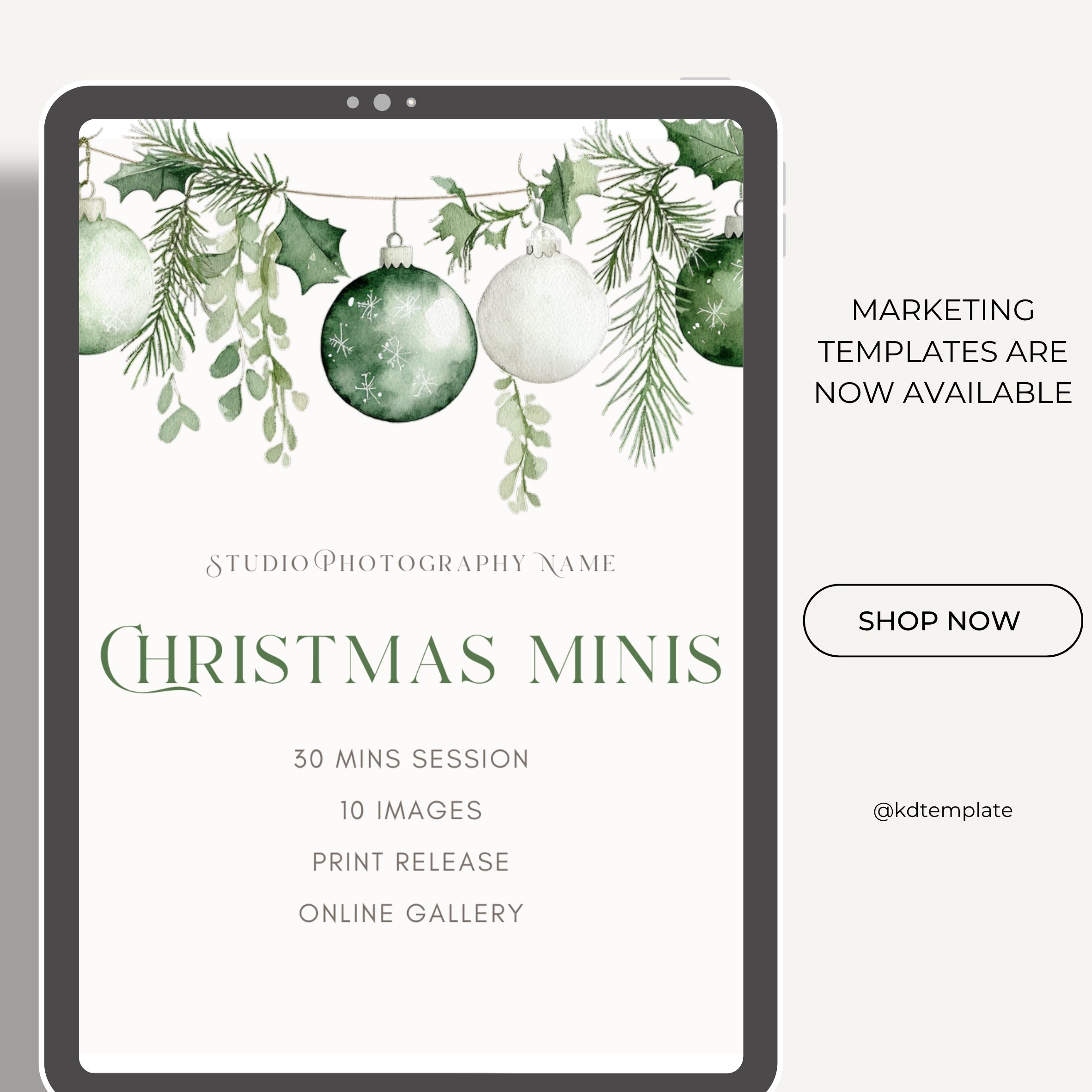 Christmas Mini Session Canva Template