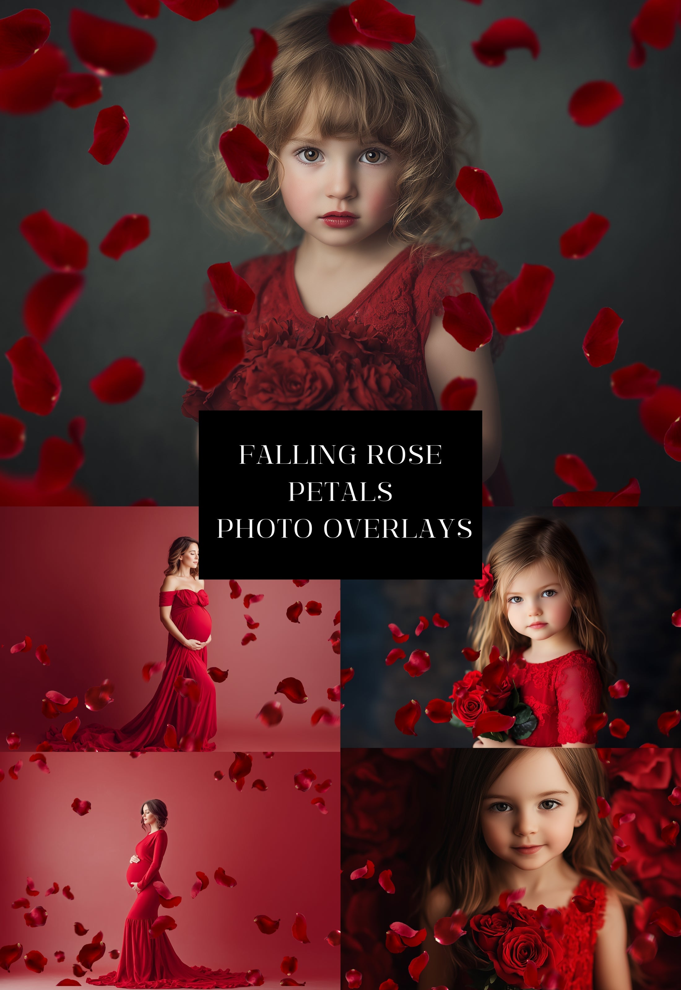 Falling Red Rose Petals Photo Overlays