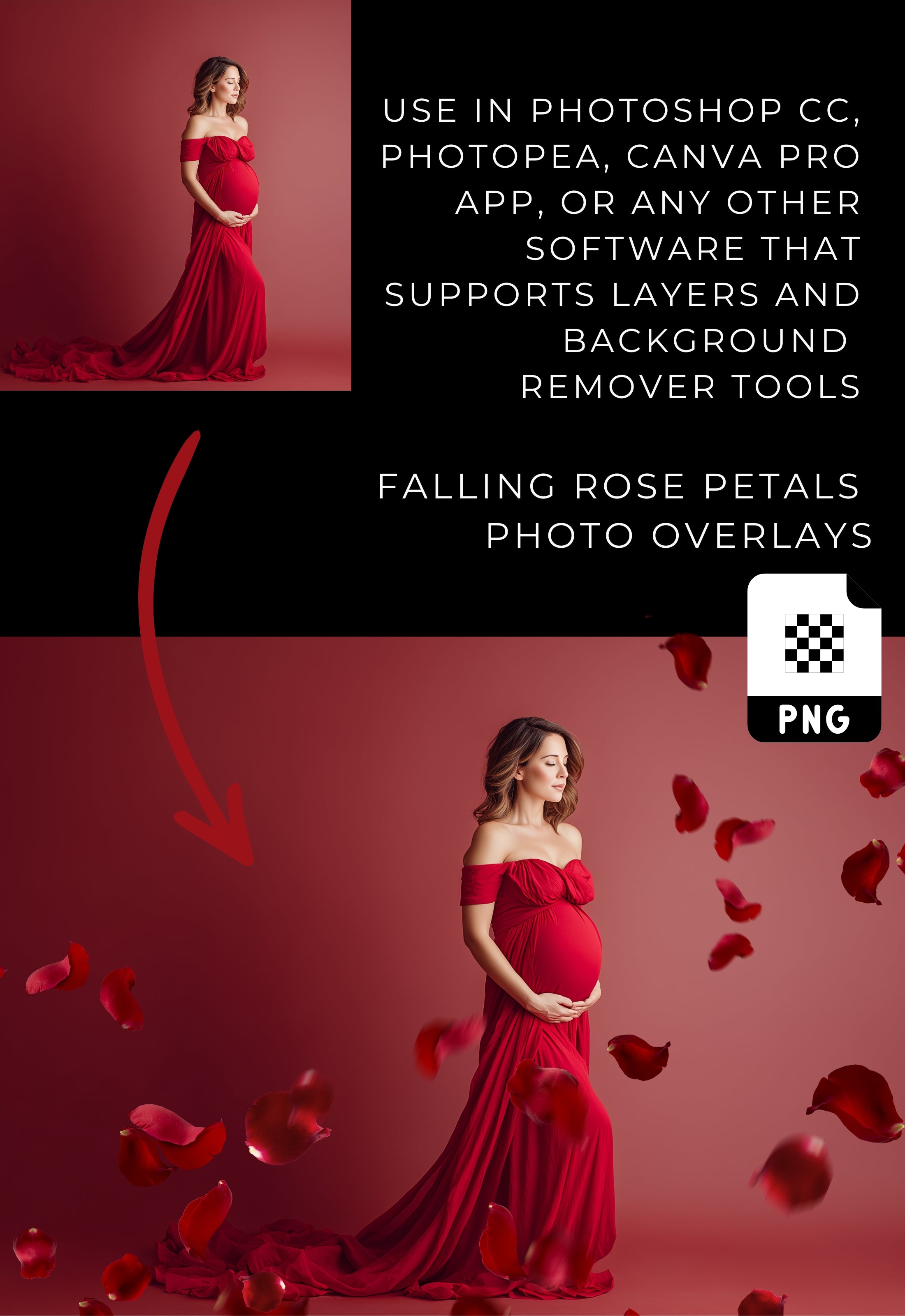 Falling Red Rose Petals Photo Overlays