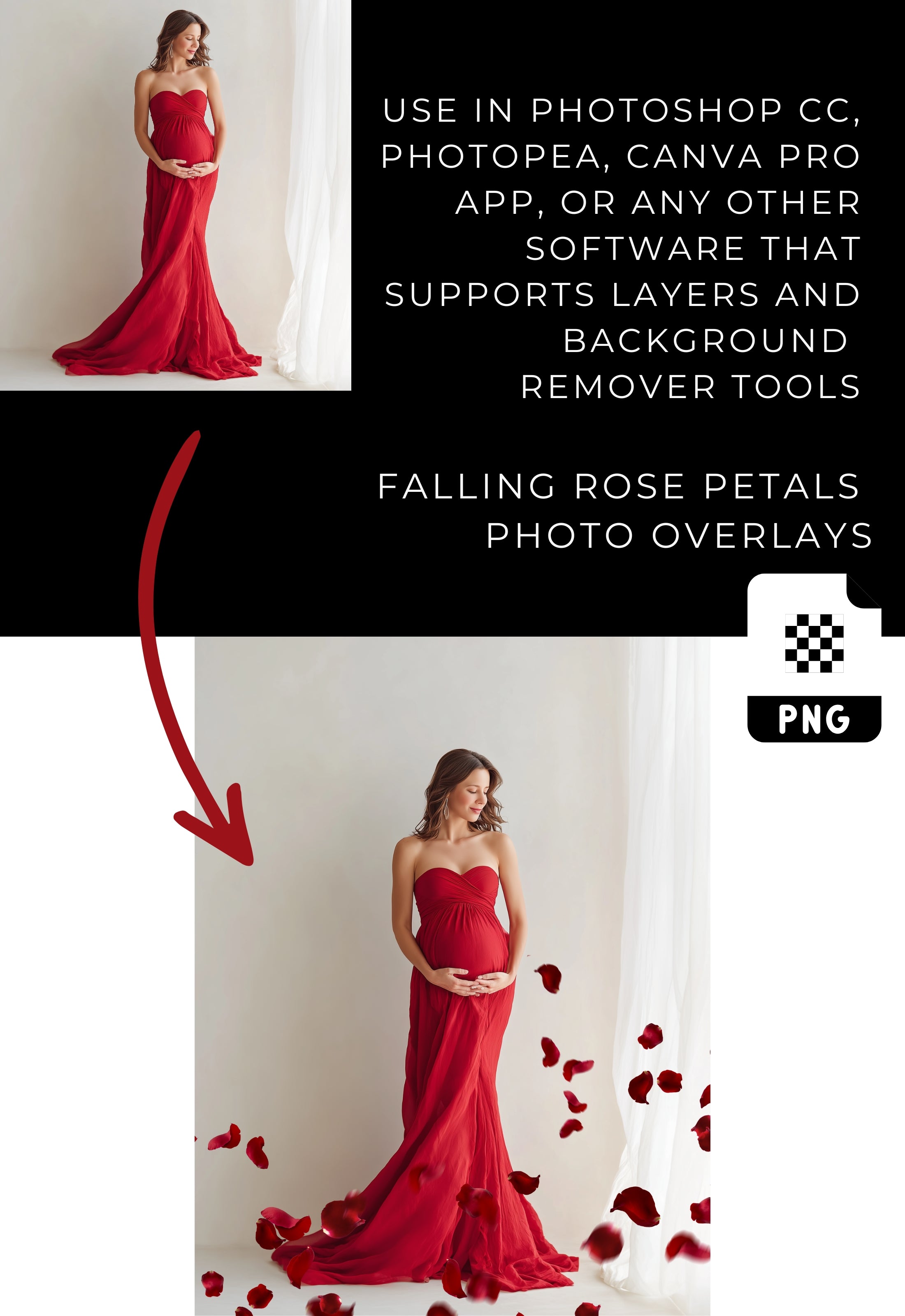 Falling Red Rose Petals Photo Overlays