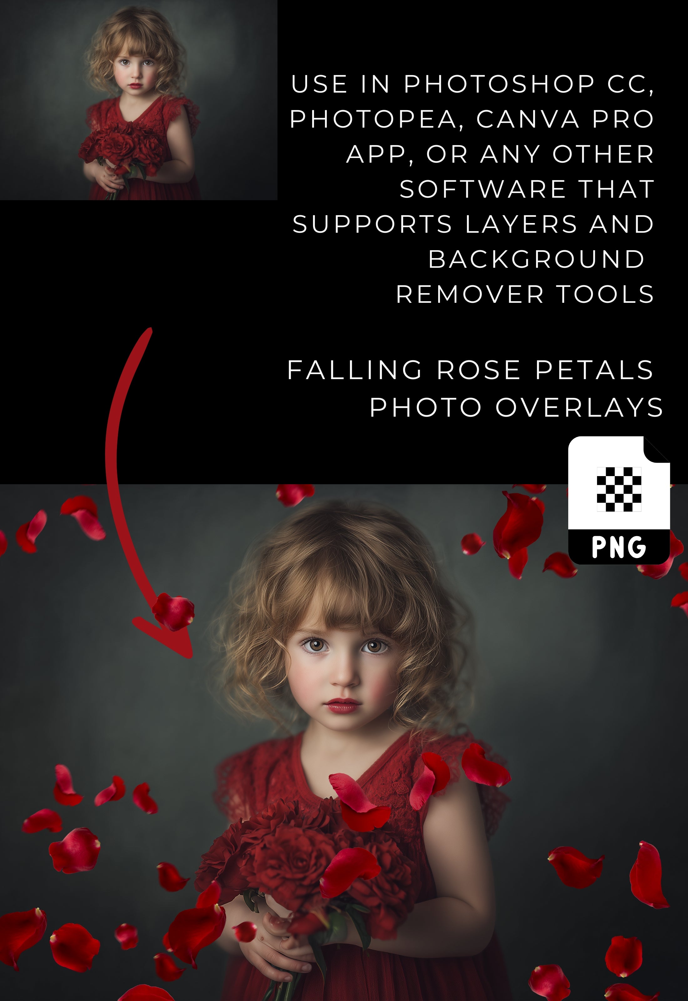 Falling Red Rose Petals Photo Overlays