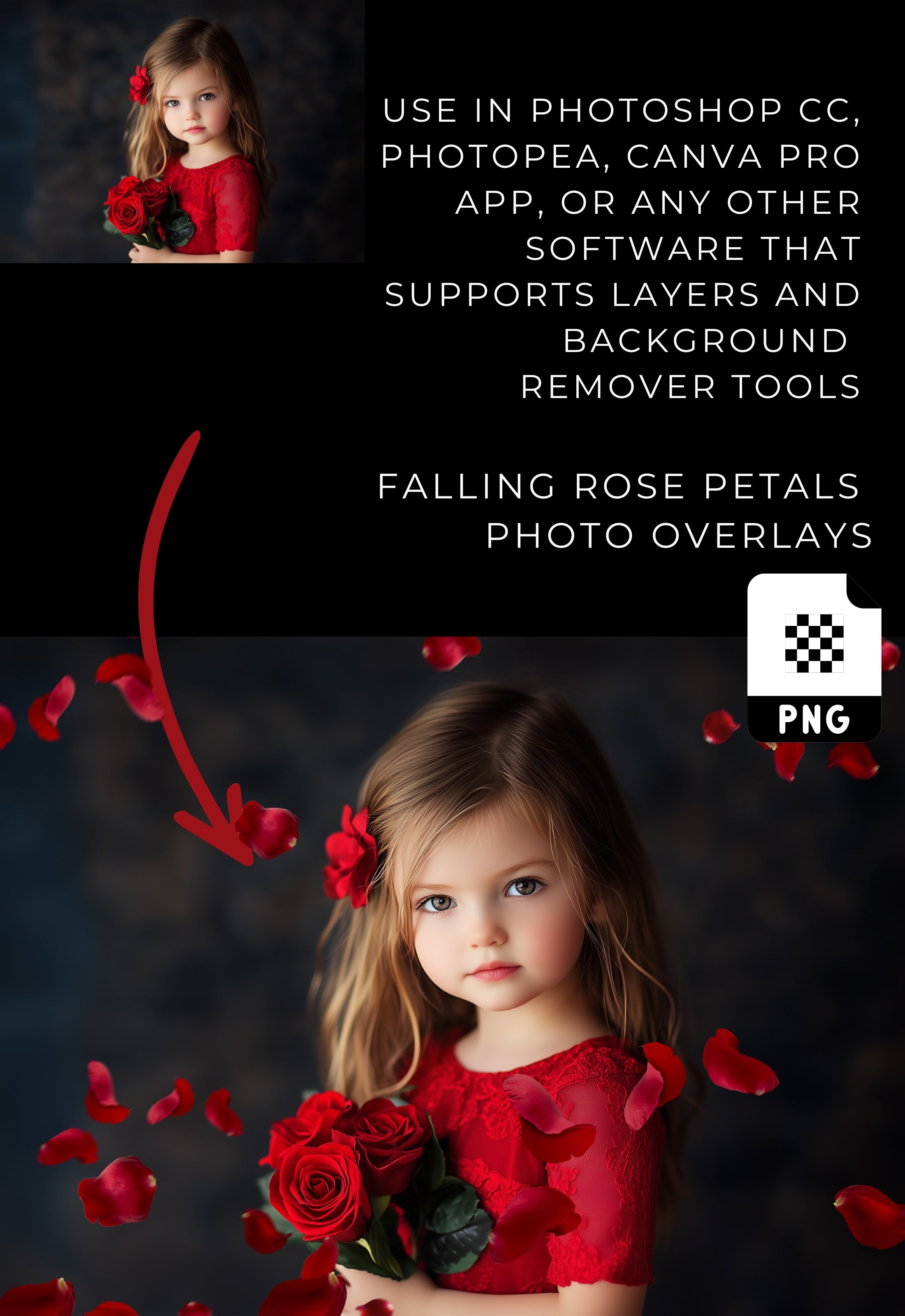 Falling Red Rose Petals Photo Overlays