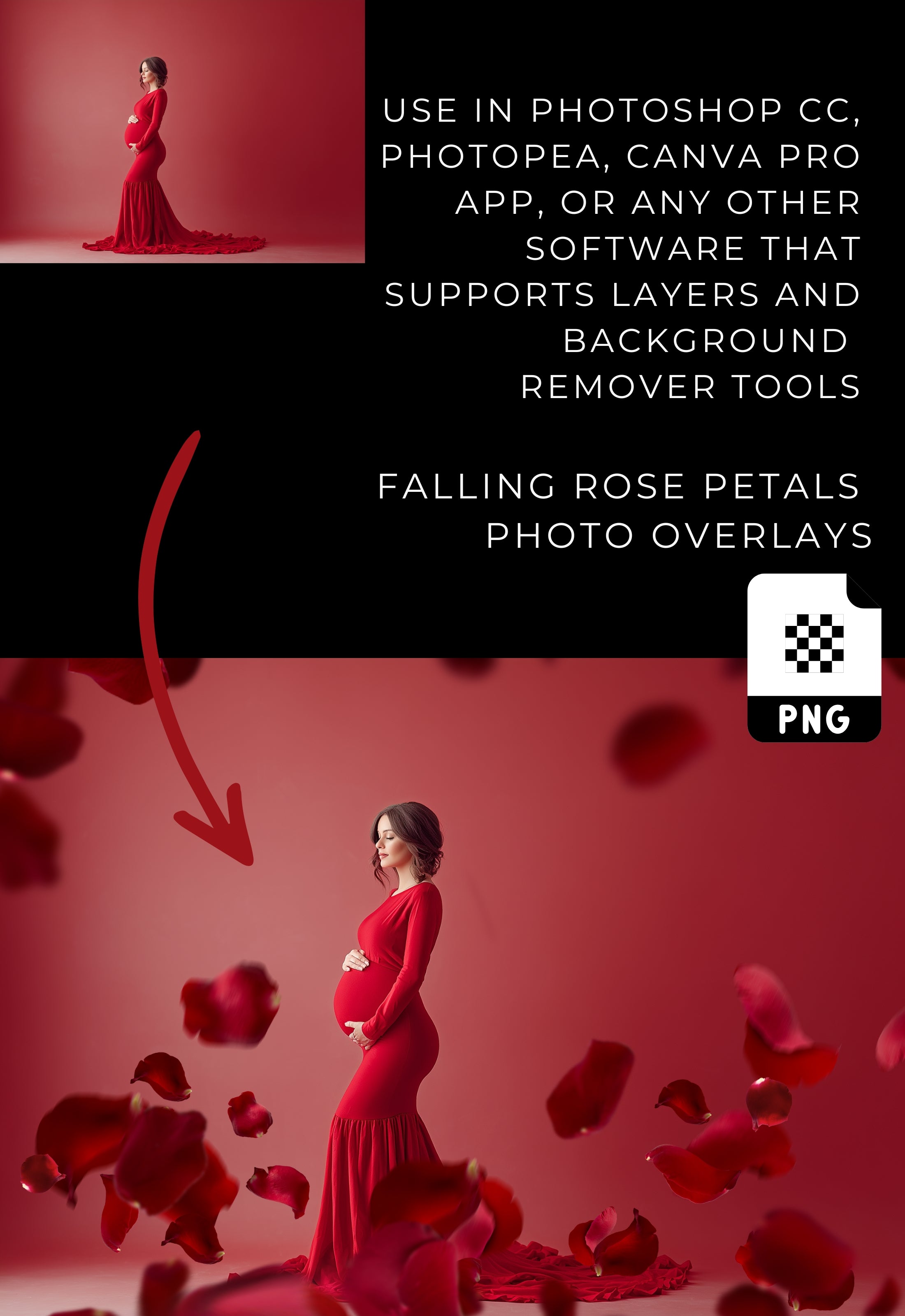 Falling Red Rose Petals Photo Overlays
