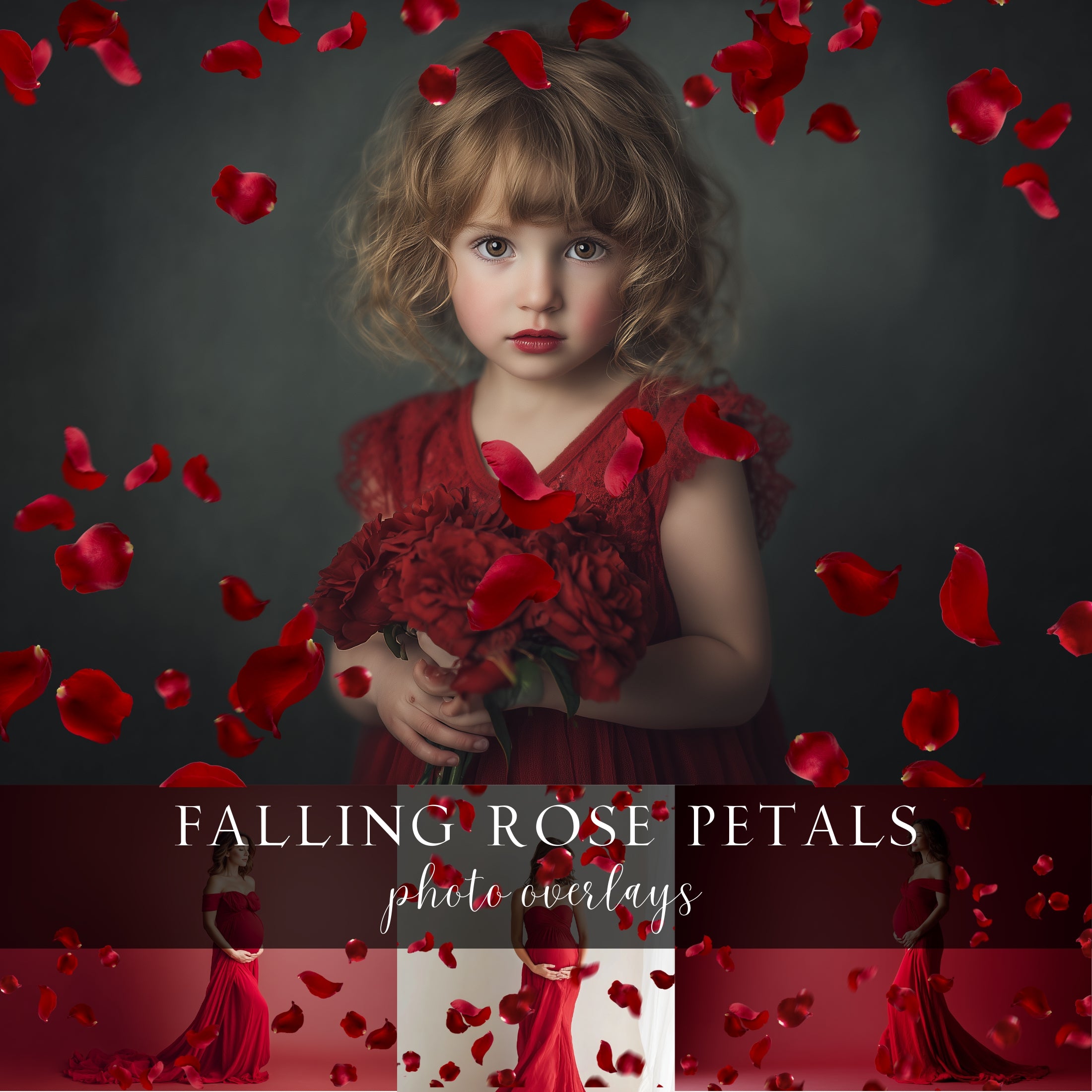 Falling Red Rose Petals Photo Overlays