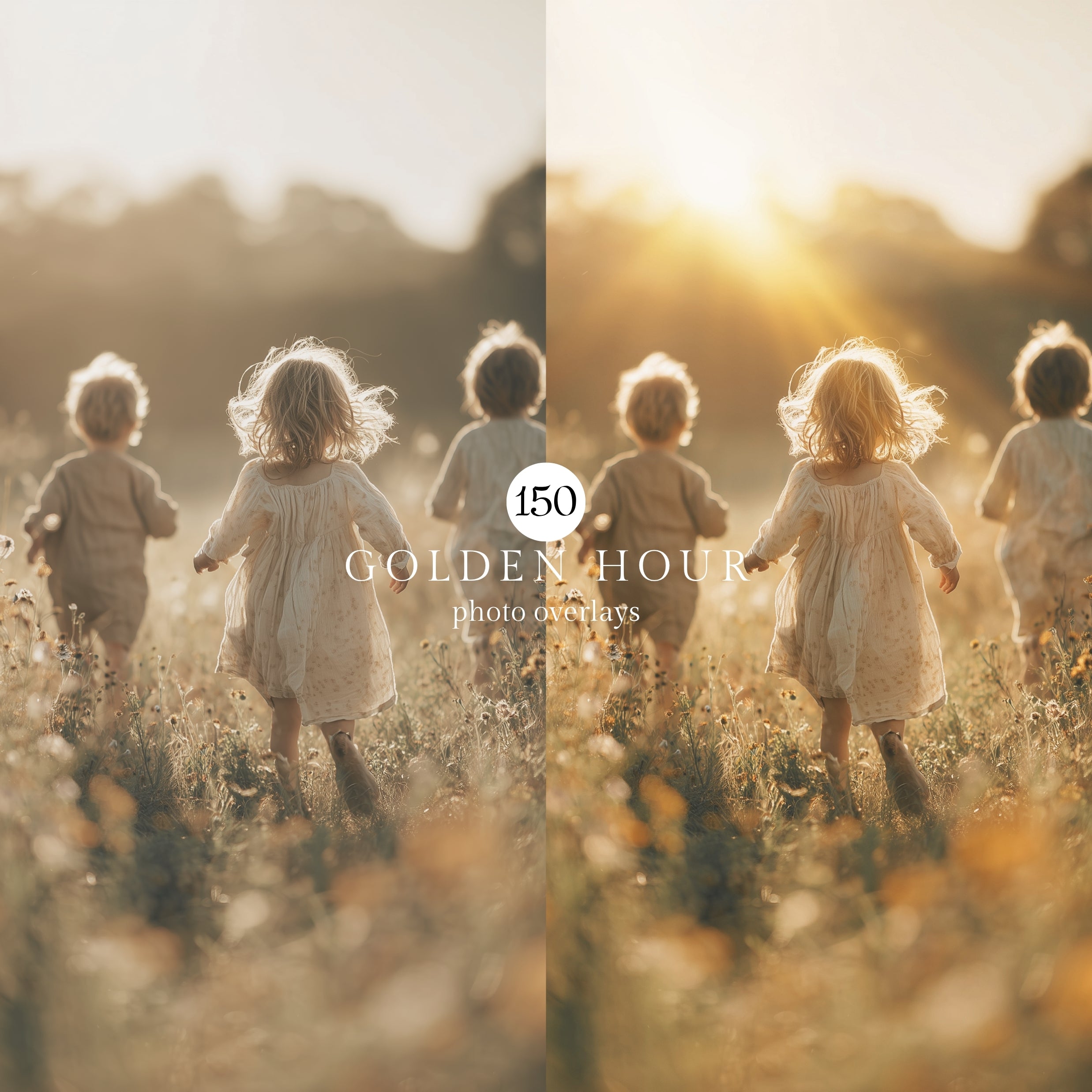 50 Golden Hour Bokeh Light Photo Overlays