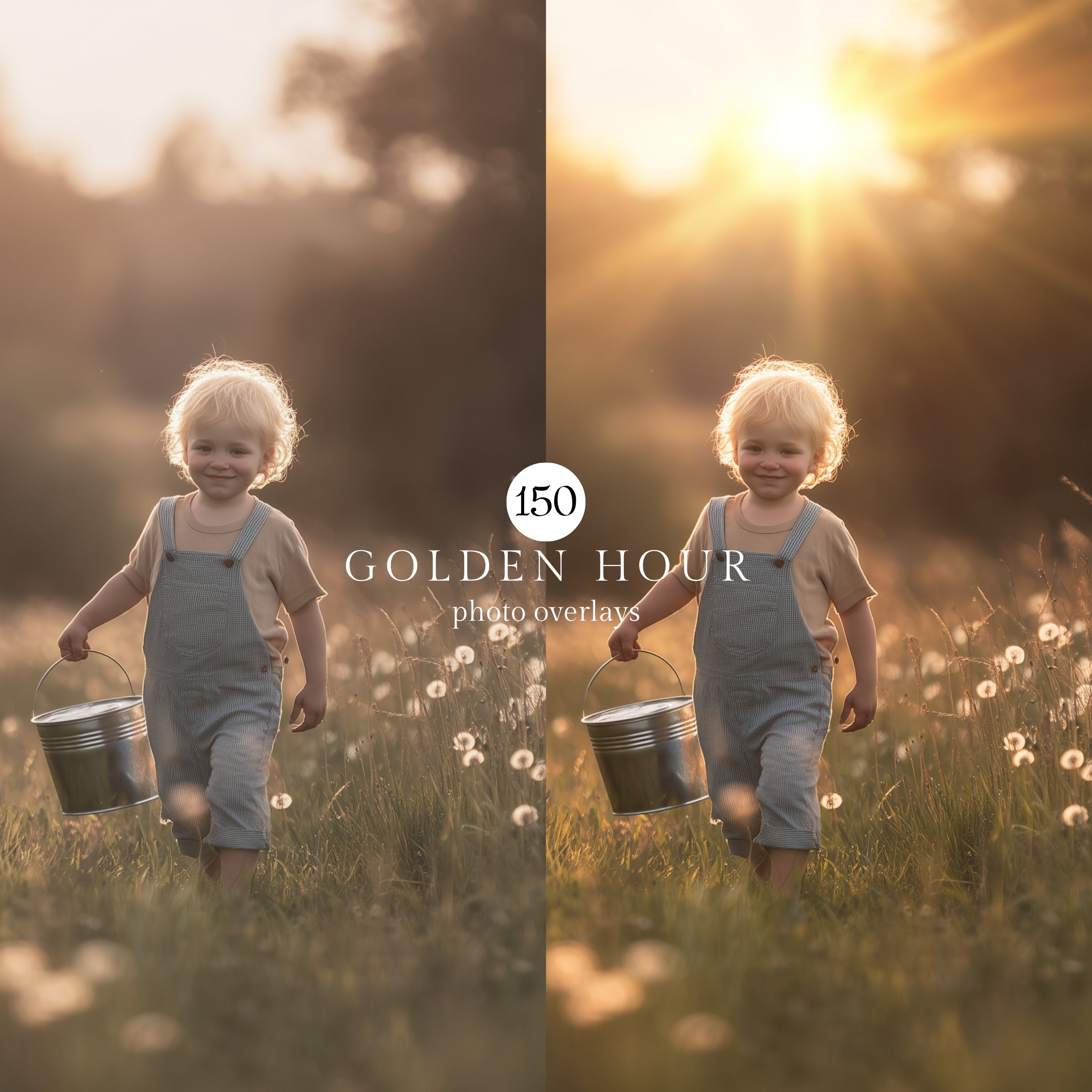 50 Golden Hour Bokeh Light Photo Overlays