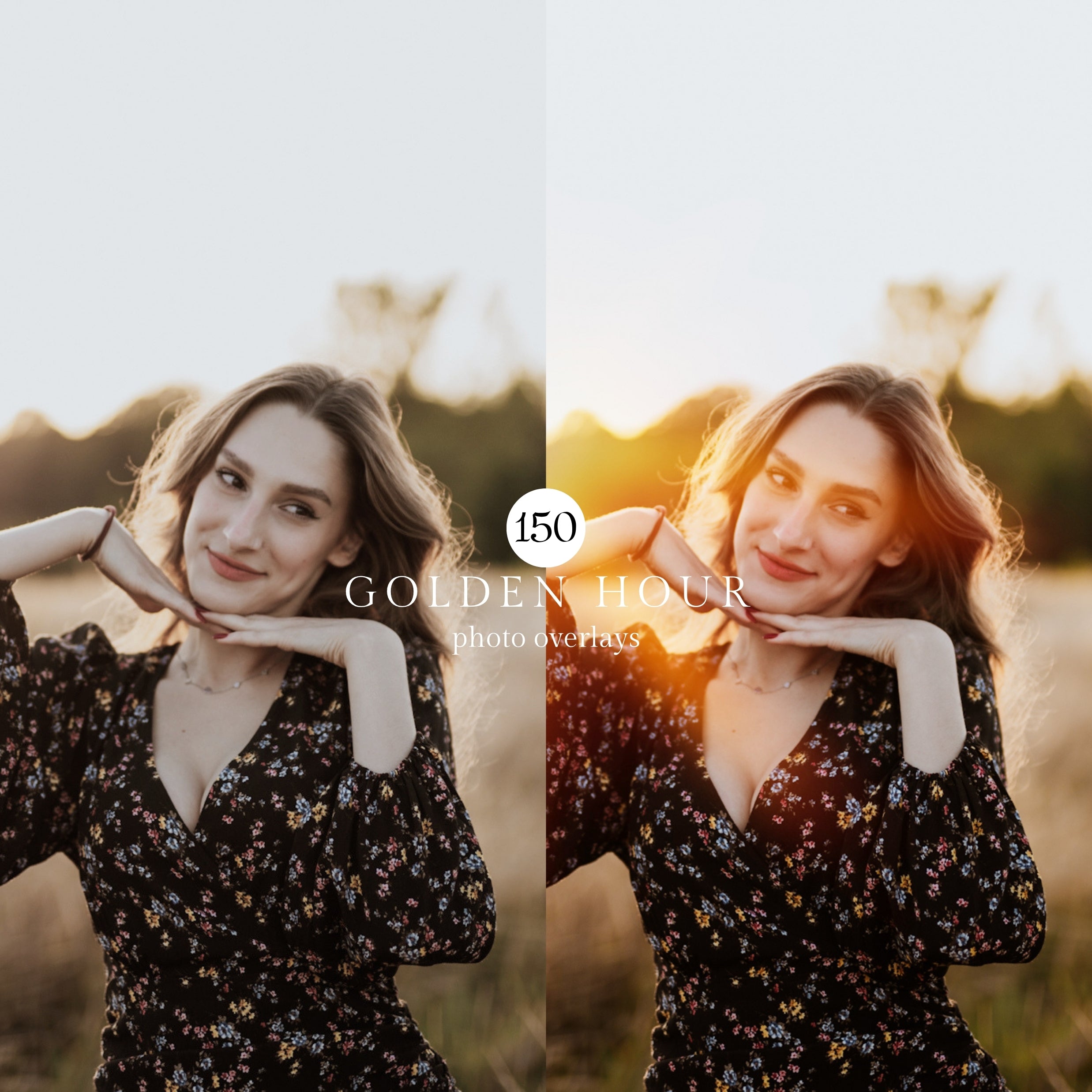 50 Golden Hour Bokeh Light Photo Overlays