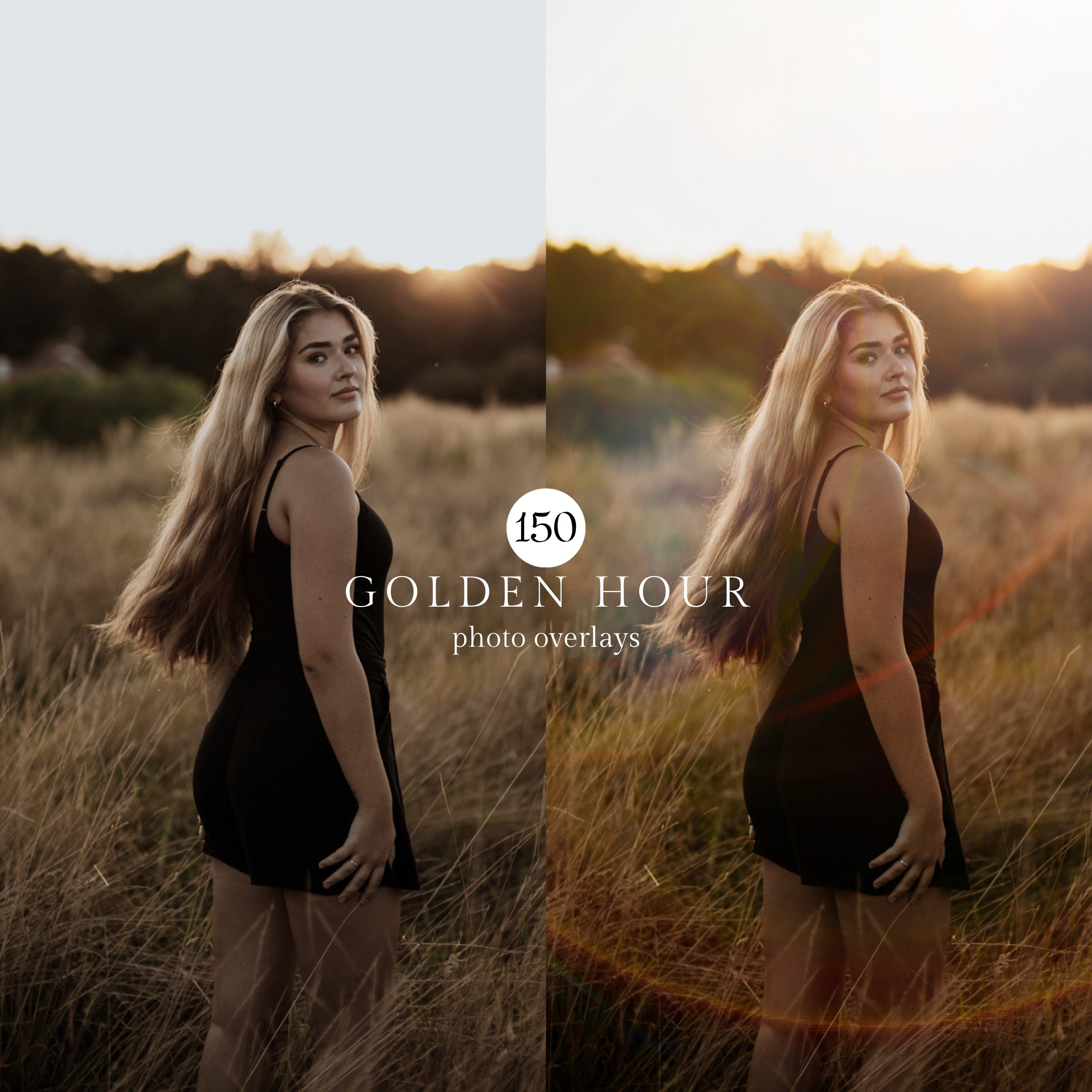 50 Golden Hour Bokeh Light Photo Overlays