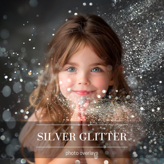 Silver Glitter Photo Overlays Photoshop Effect for Composite Photography