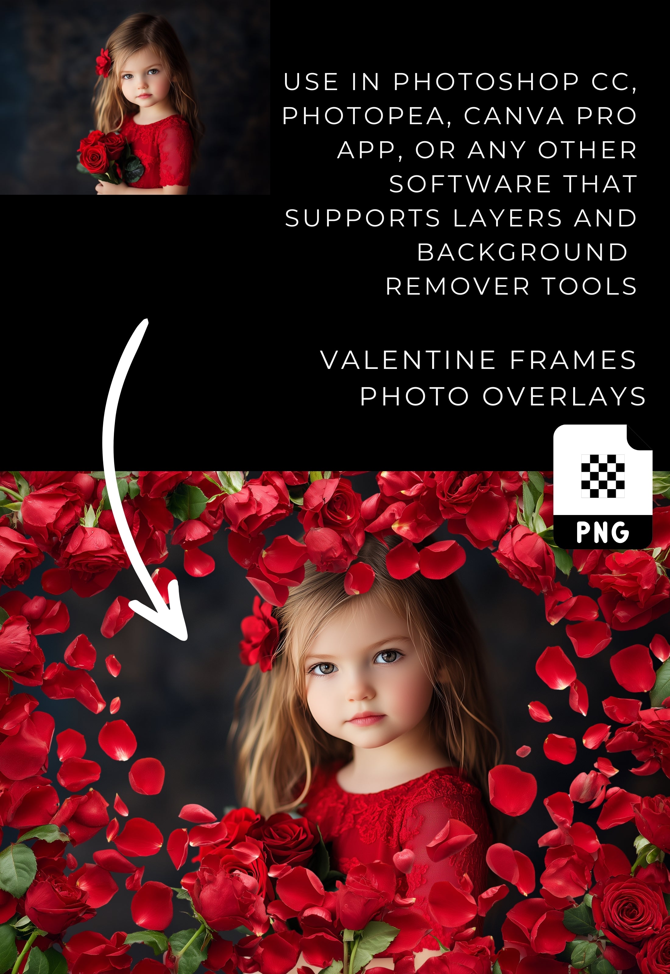 Red Rose Petals Valentine Photo Frame PNG Overlays