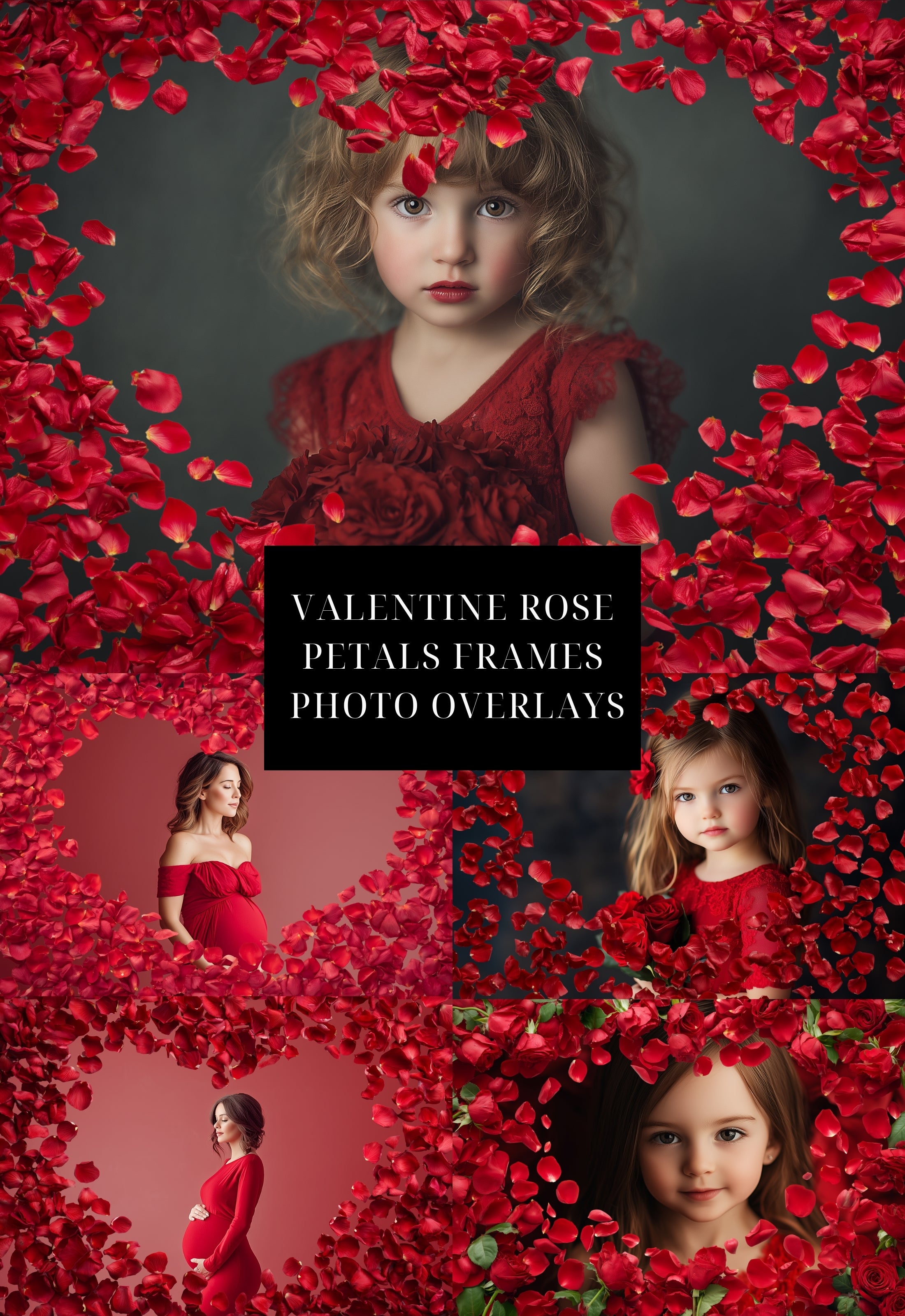 Red Rose Petals Valentine Photo Frame PNG Overlays