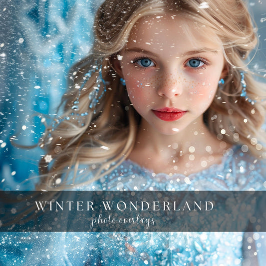 White Winter Wonderland Snow Bokeh Glitter Photoshop Overlay Effect