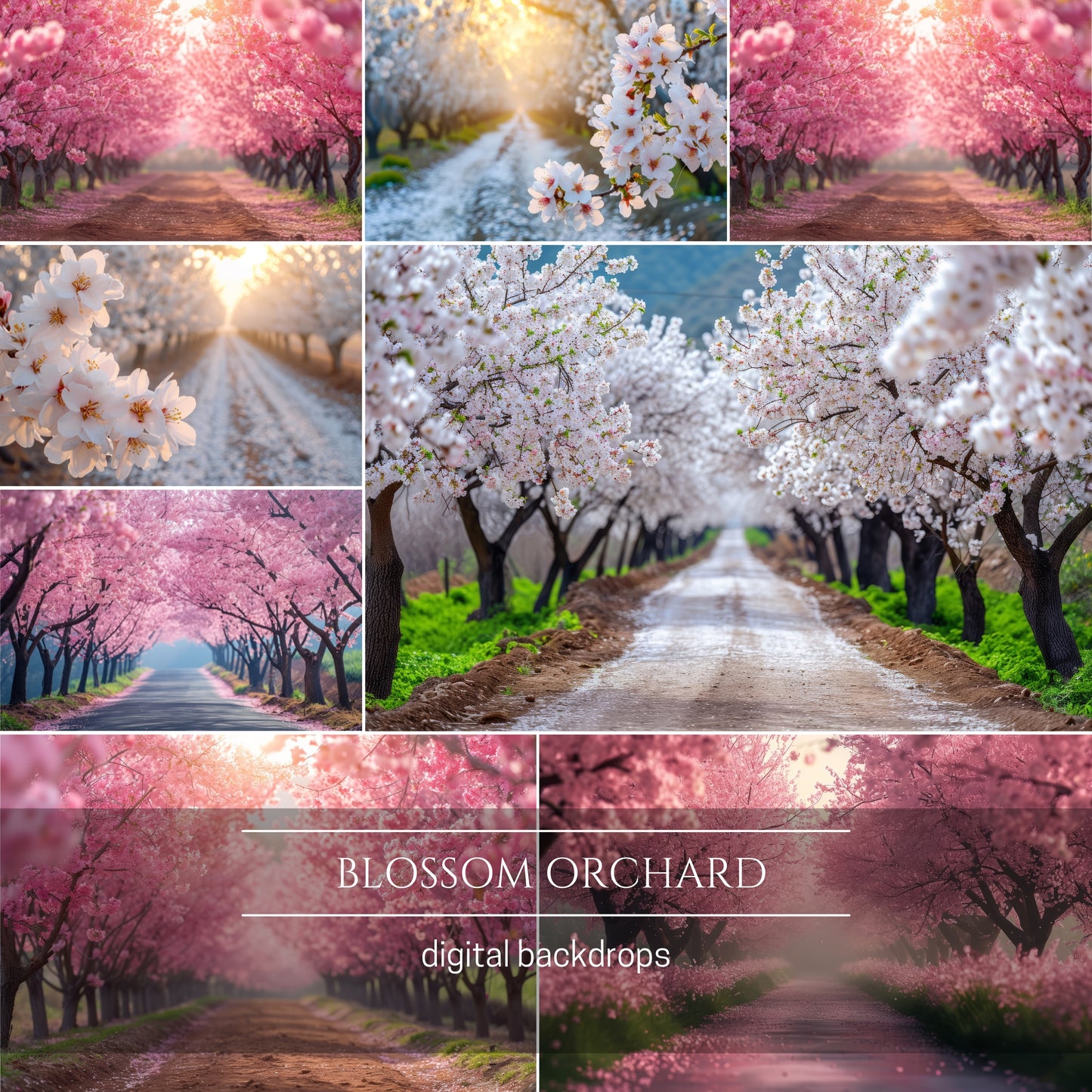 80 Blossom Bundle Floral Digital Backdrops for Composite Photography