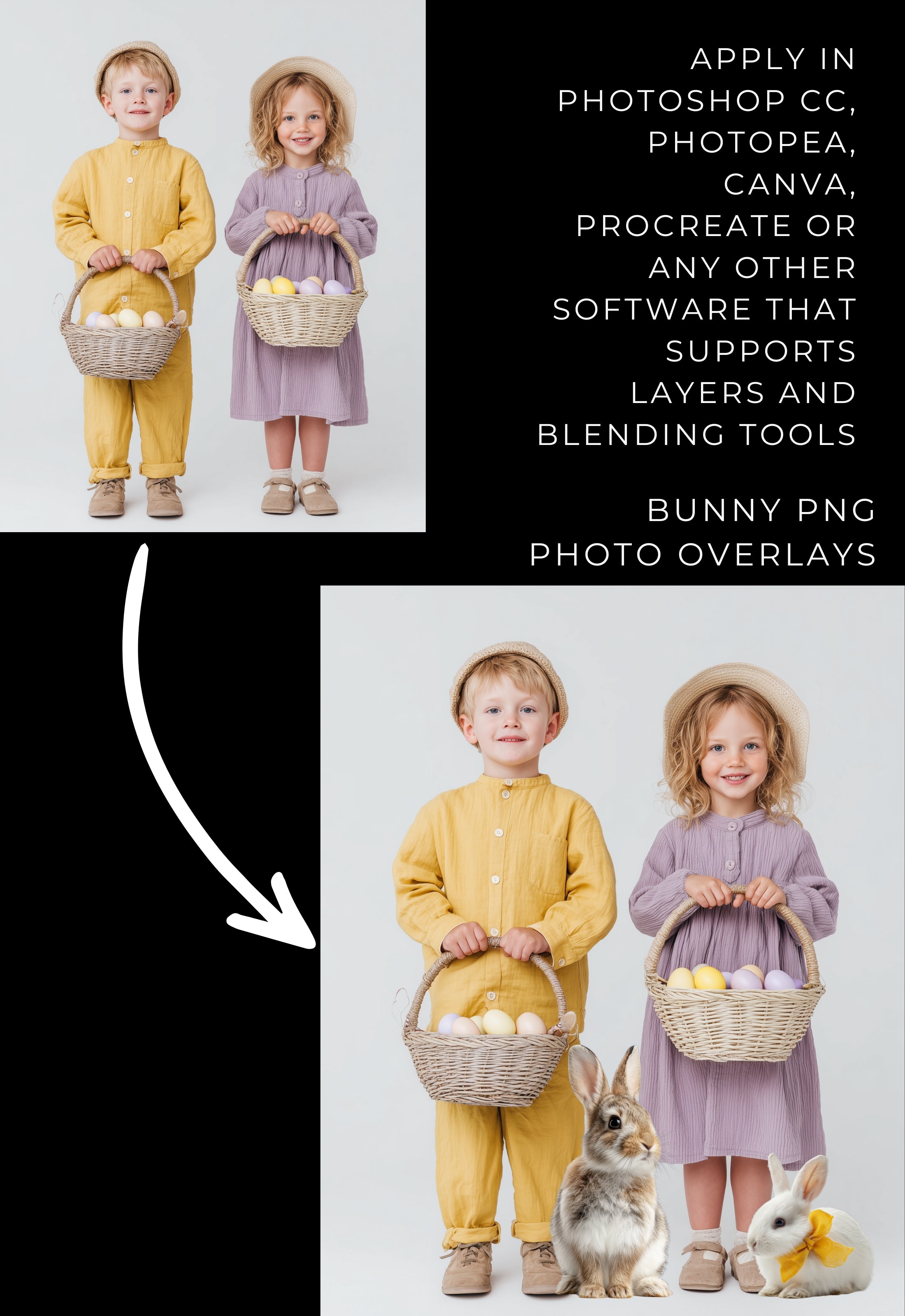 Bunnies PNG Photo Overlays
