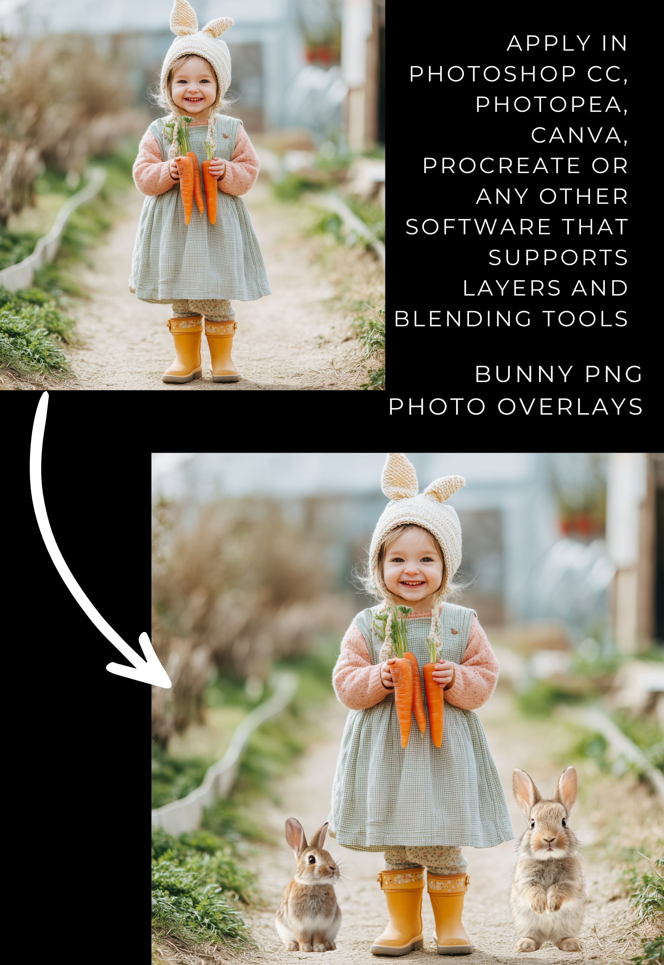 Bunnies PNG Photo Overlays