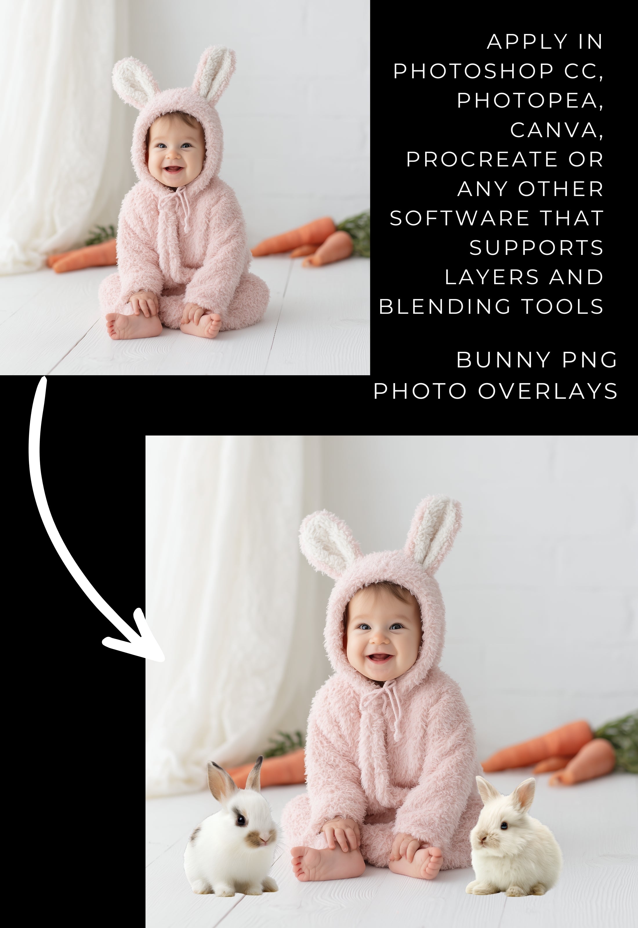 Bunnies PNG Photo Overlays