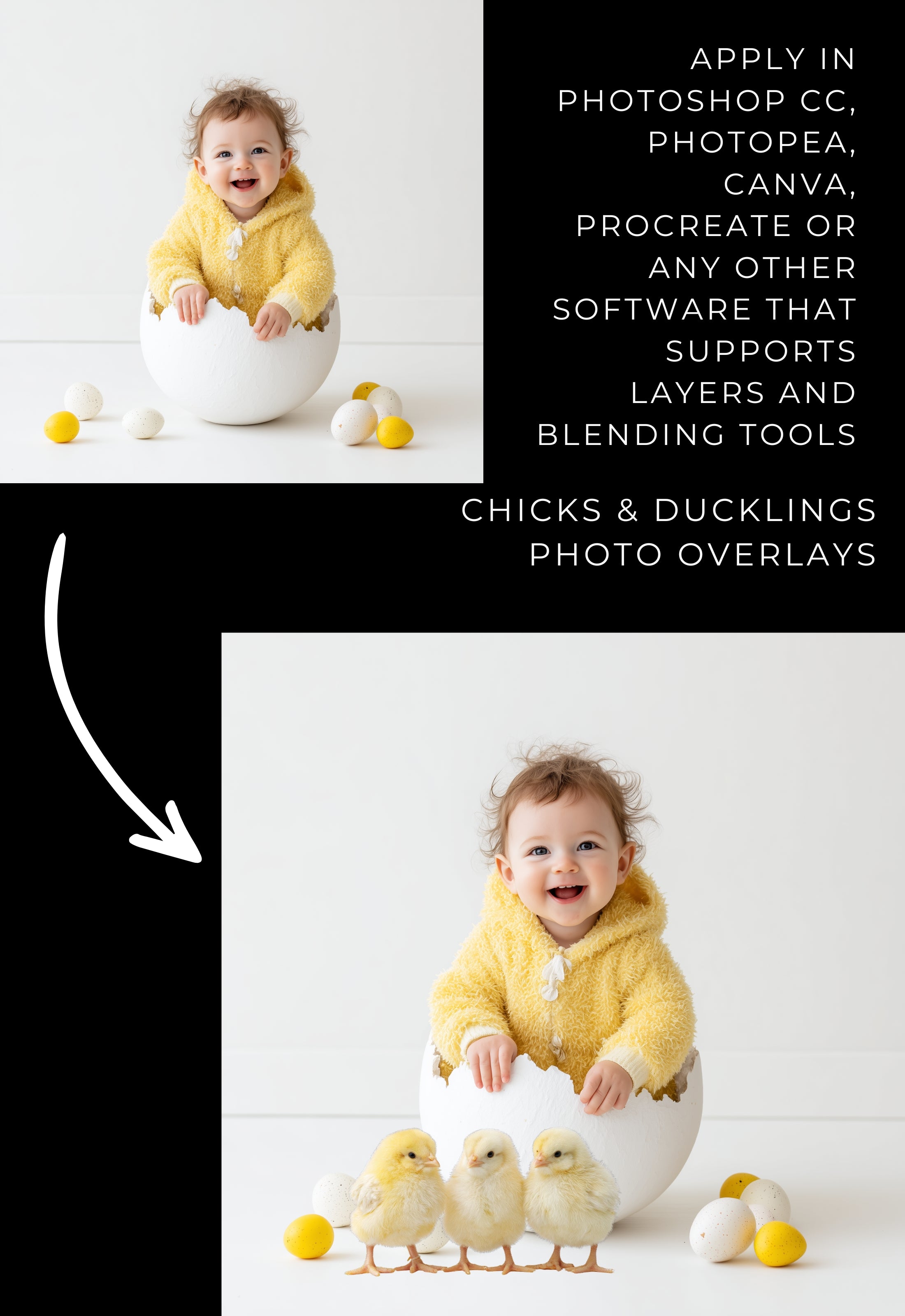 Easter Chicks and Ducklings PNG Clipart Photo Overlays
