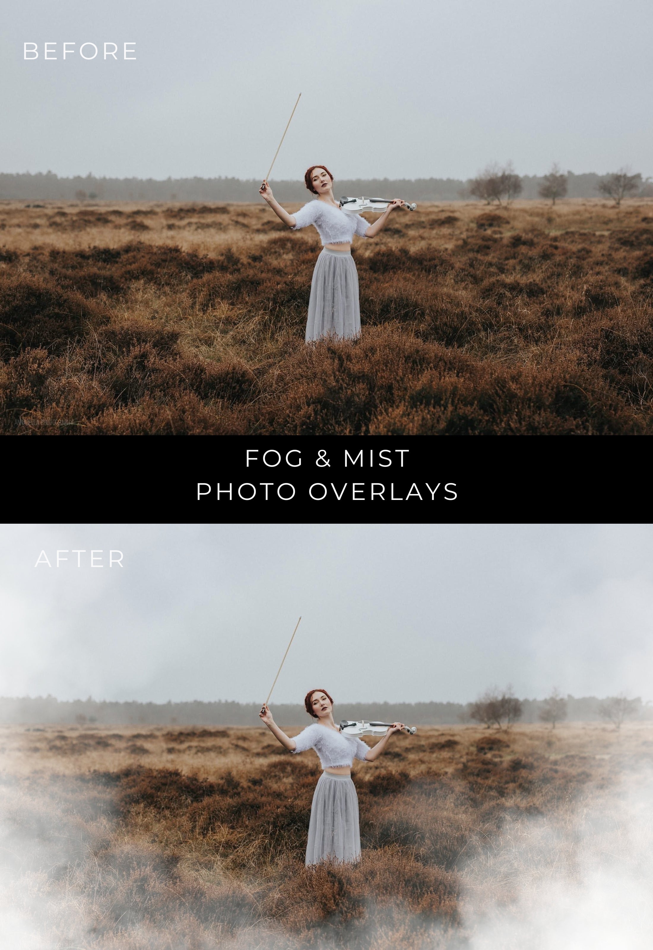 50 Fog & Mist Photo Overlays