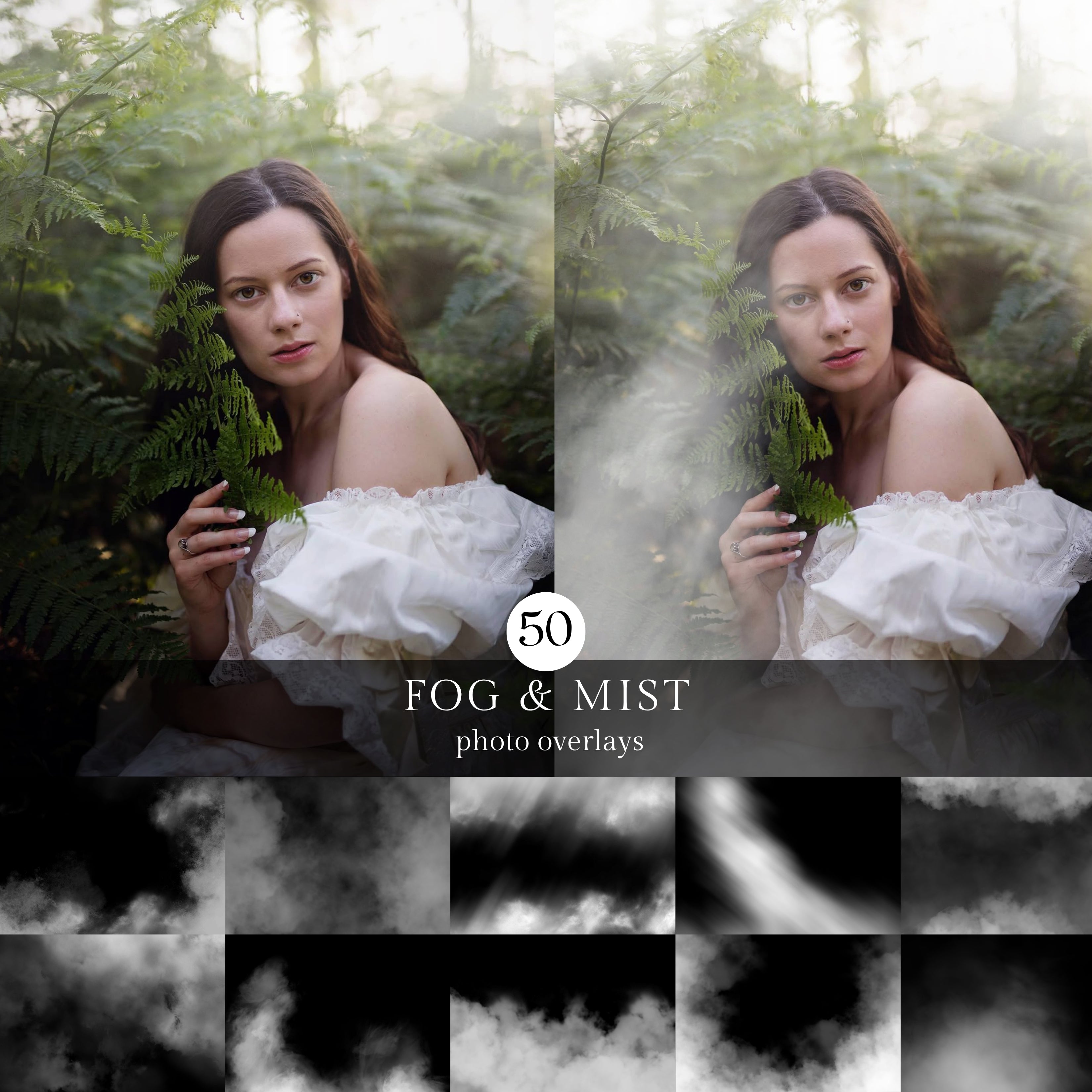 50 Fog & Mist Photo Overlays
